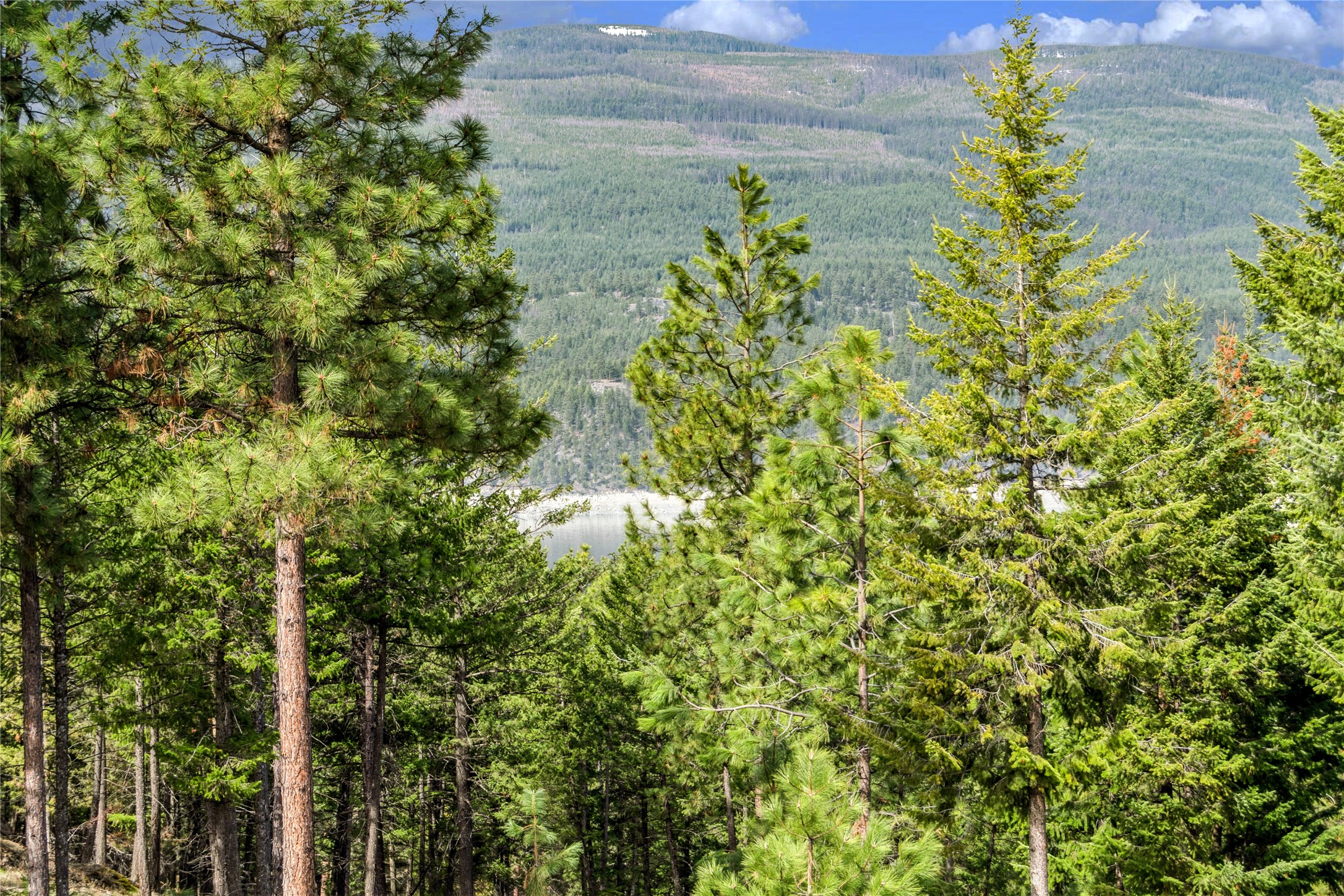 22 Hurricane Ranch Road