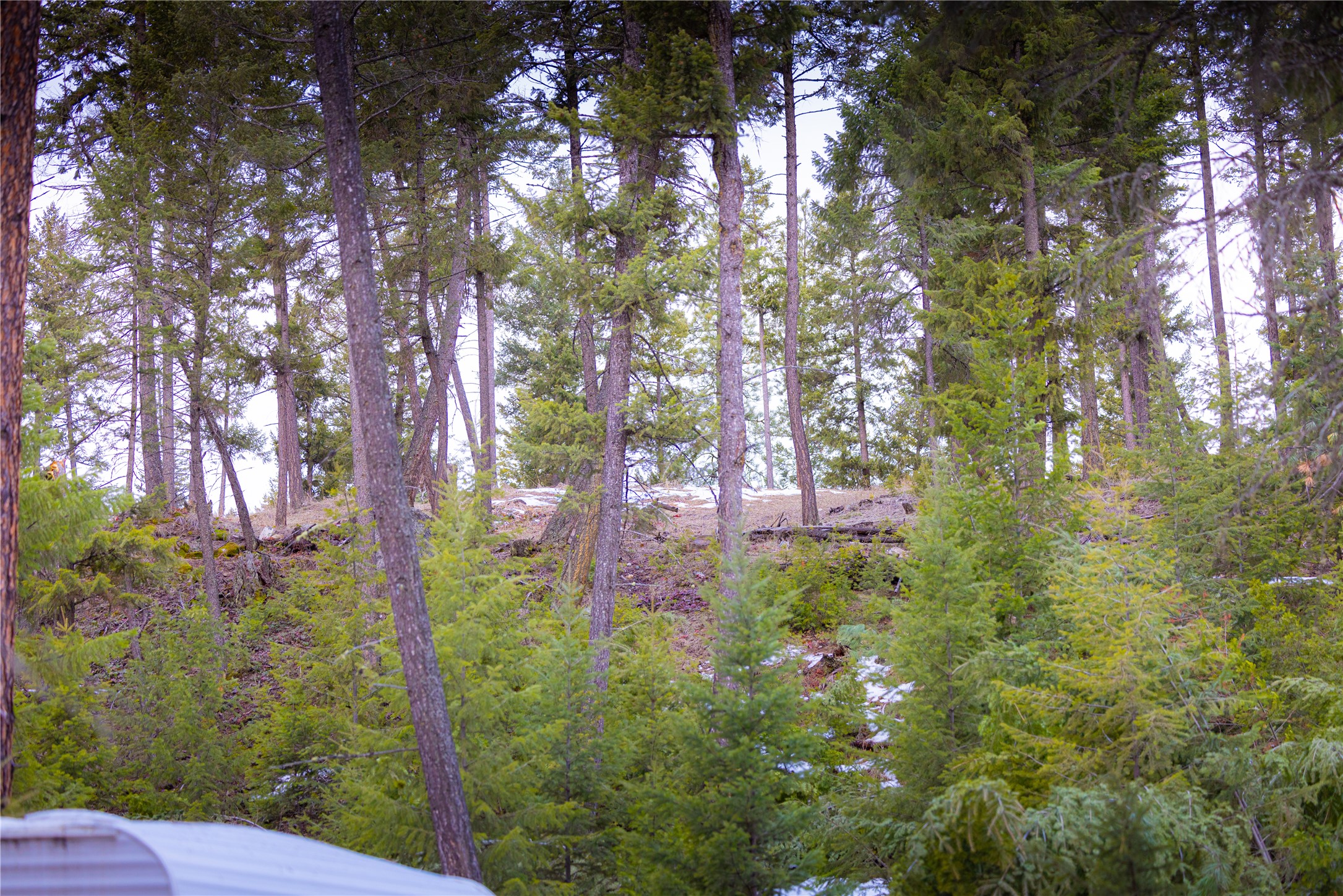 NHN Tobacco Valley View Road Lot 2