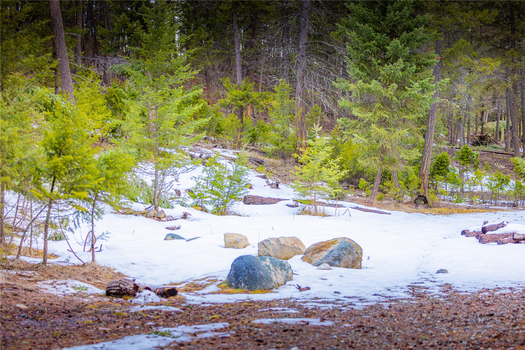 NHN Tobacco Valley View Road Lot 2