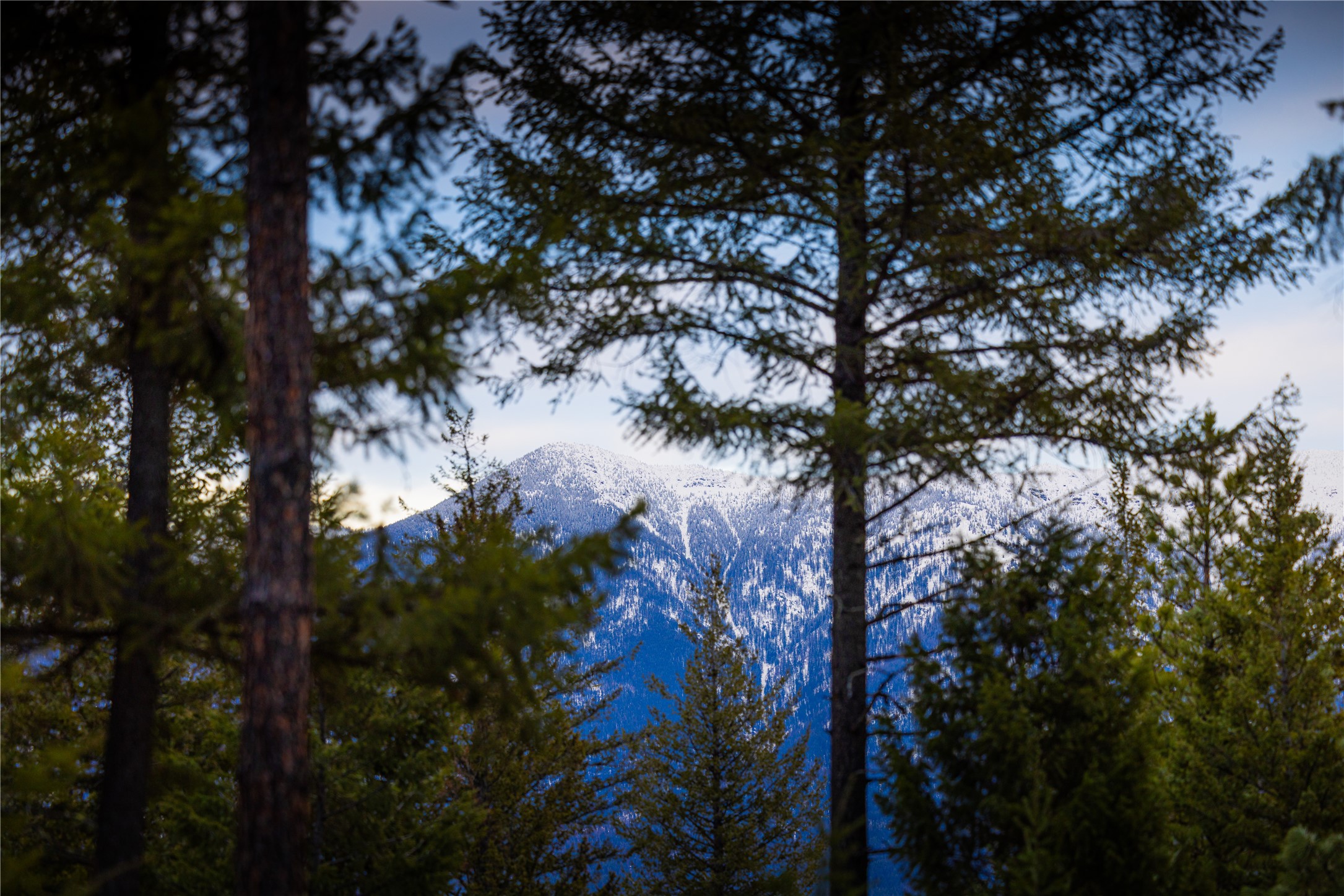 NHN Tobacco Valley View Road Lot 2