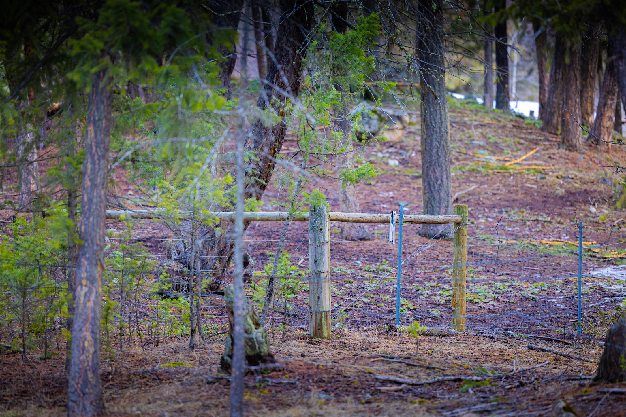 NHN Tobacco Valley View Road Lot 2