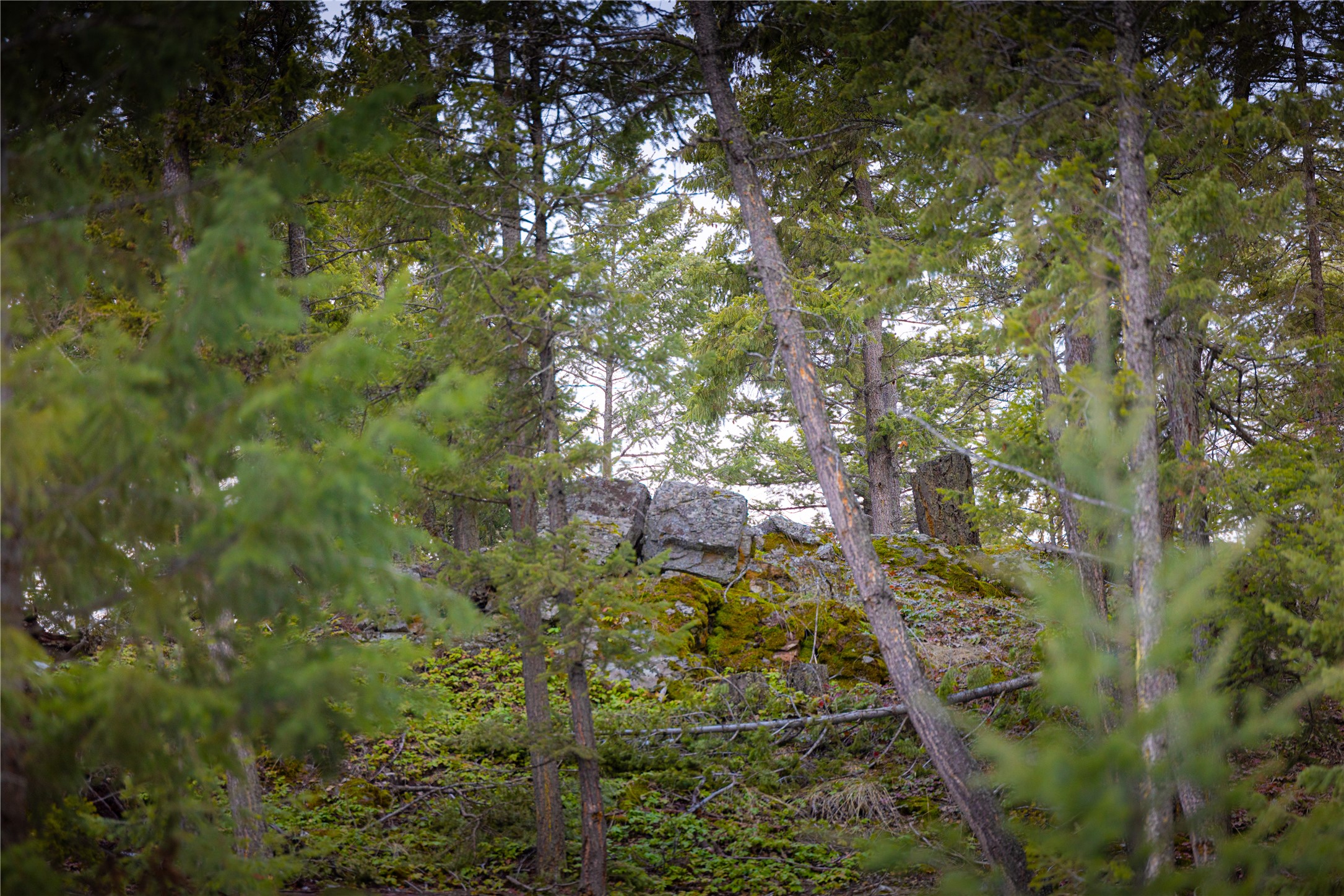 NHN Tobacco Valley View Road Lot 2