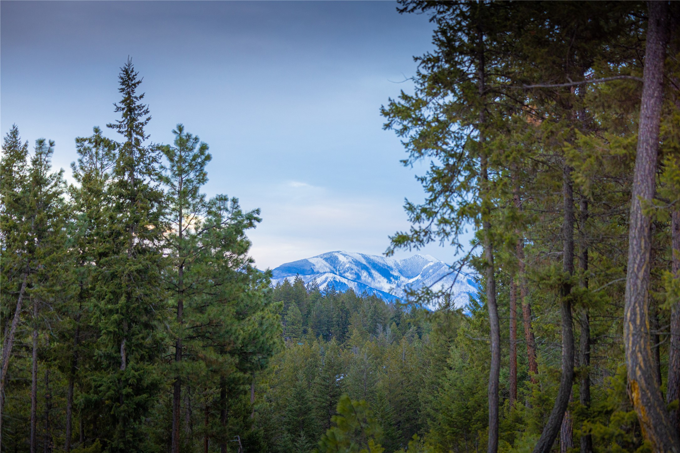 NHN Tobacco Valley View Road Lot 2