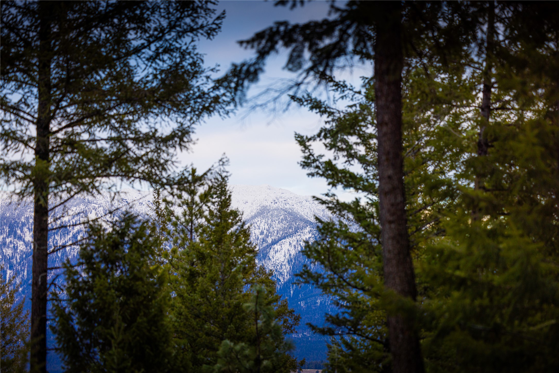 NHN Tobacco Valley View Road Lot 2