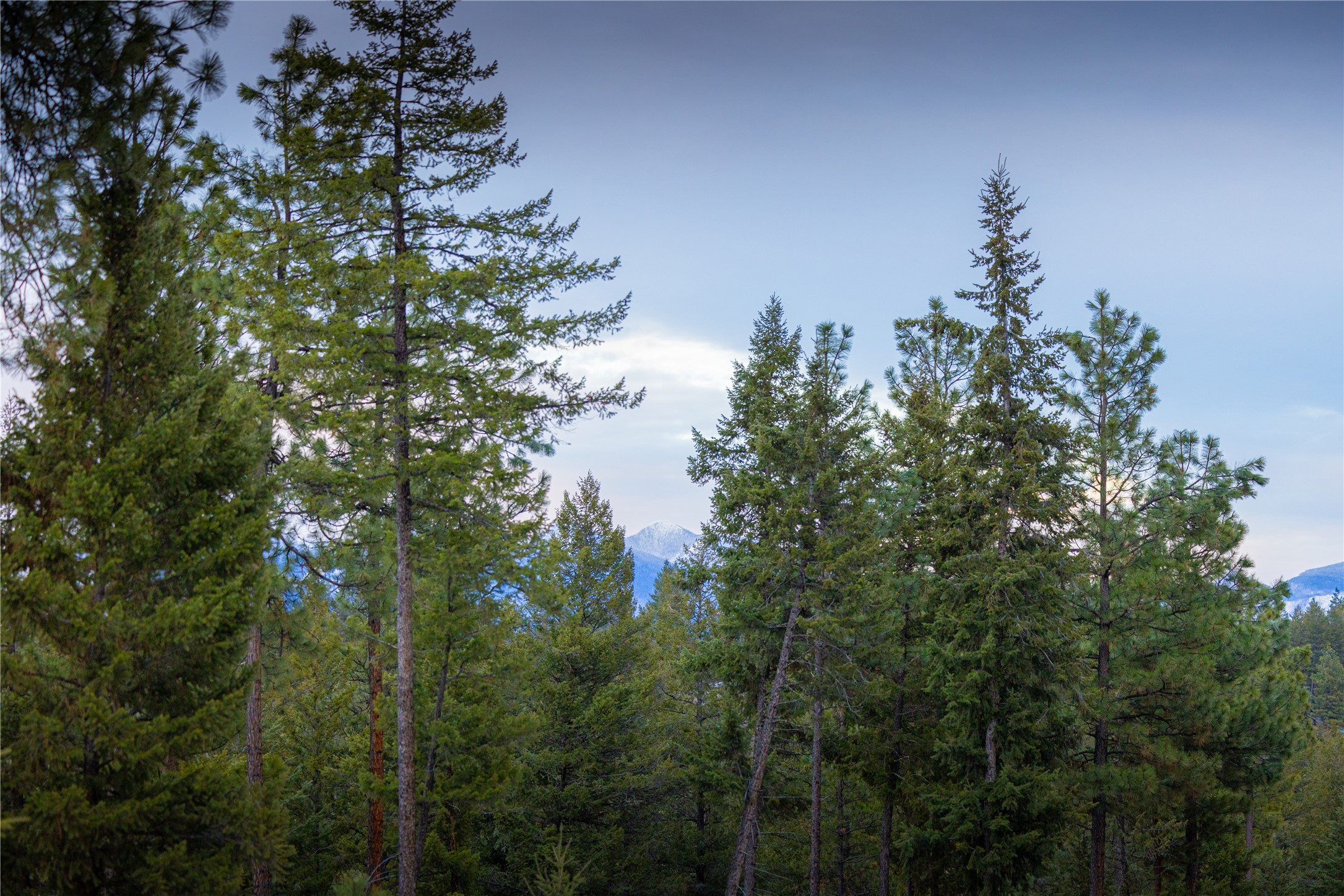 NHN Tobacco Valley View Road Lot 2