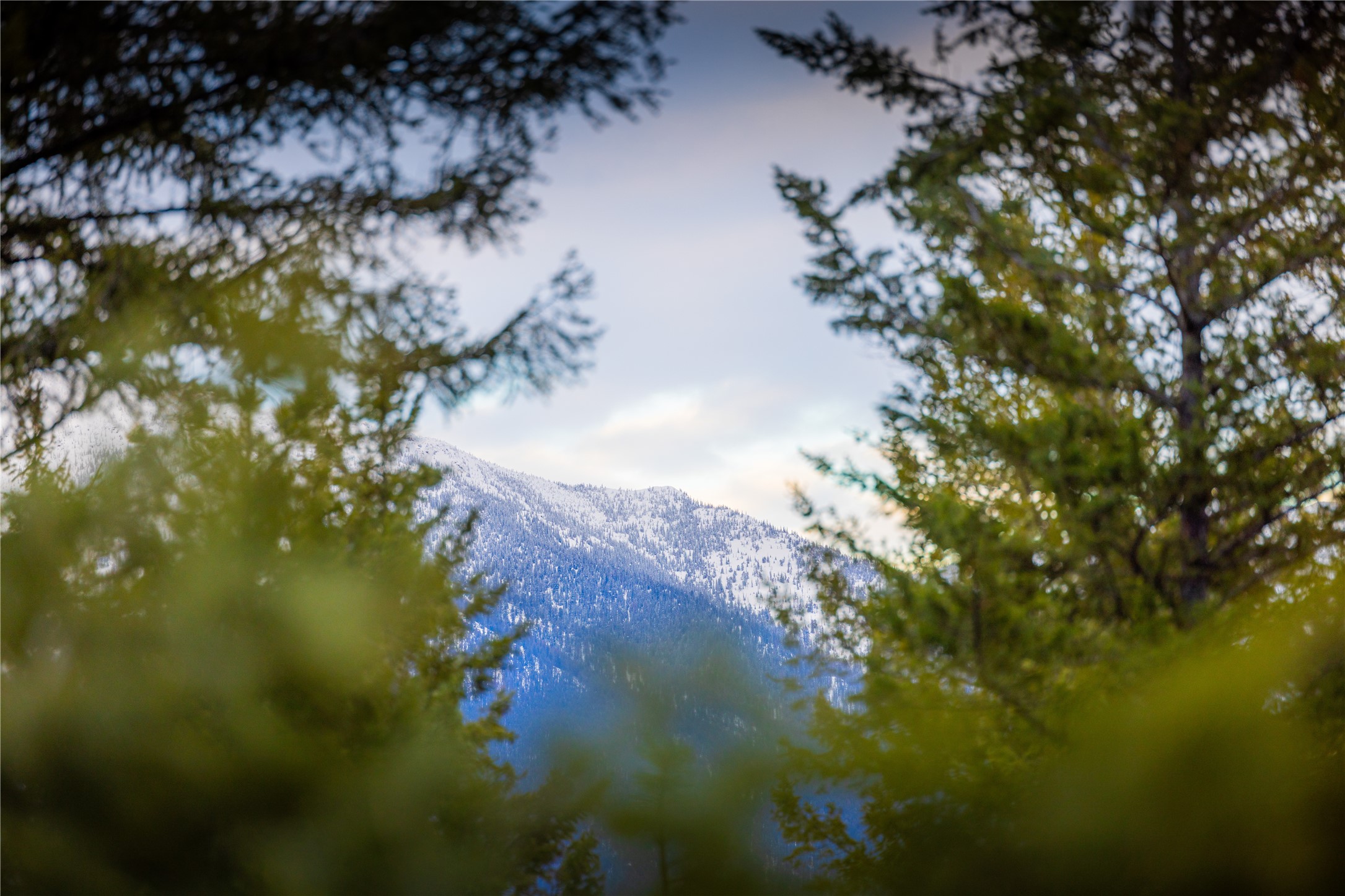 NHN Tobacco Valley View Road Lot 2