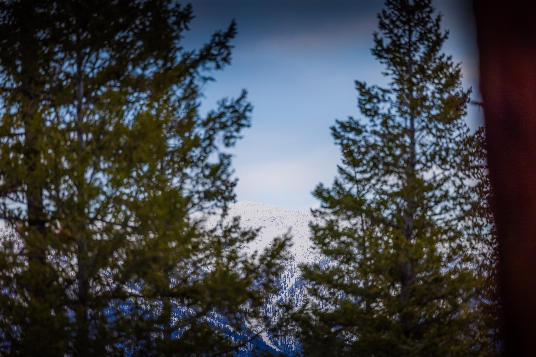 NHN Tobacco Valley View Road Lot 2