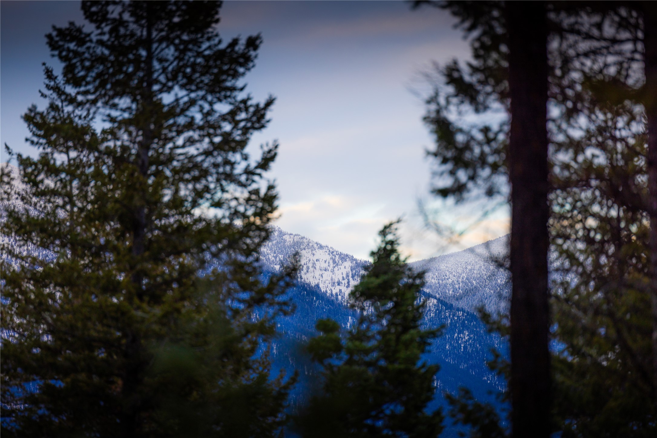 NHN Tobacco Valley View Road Lot 2