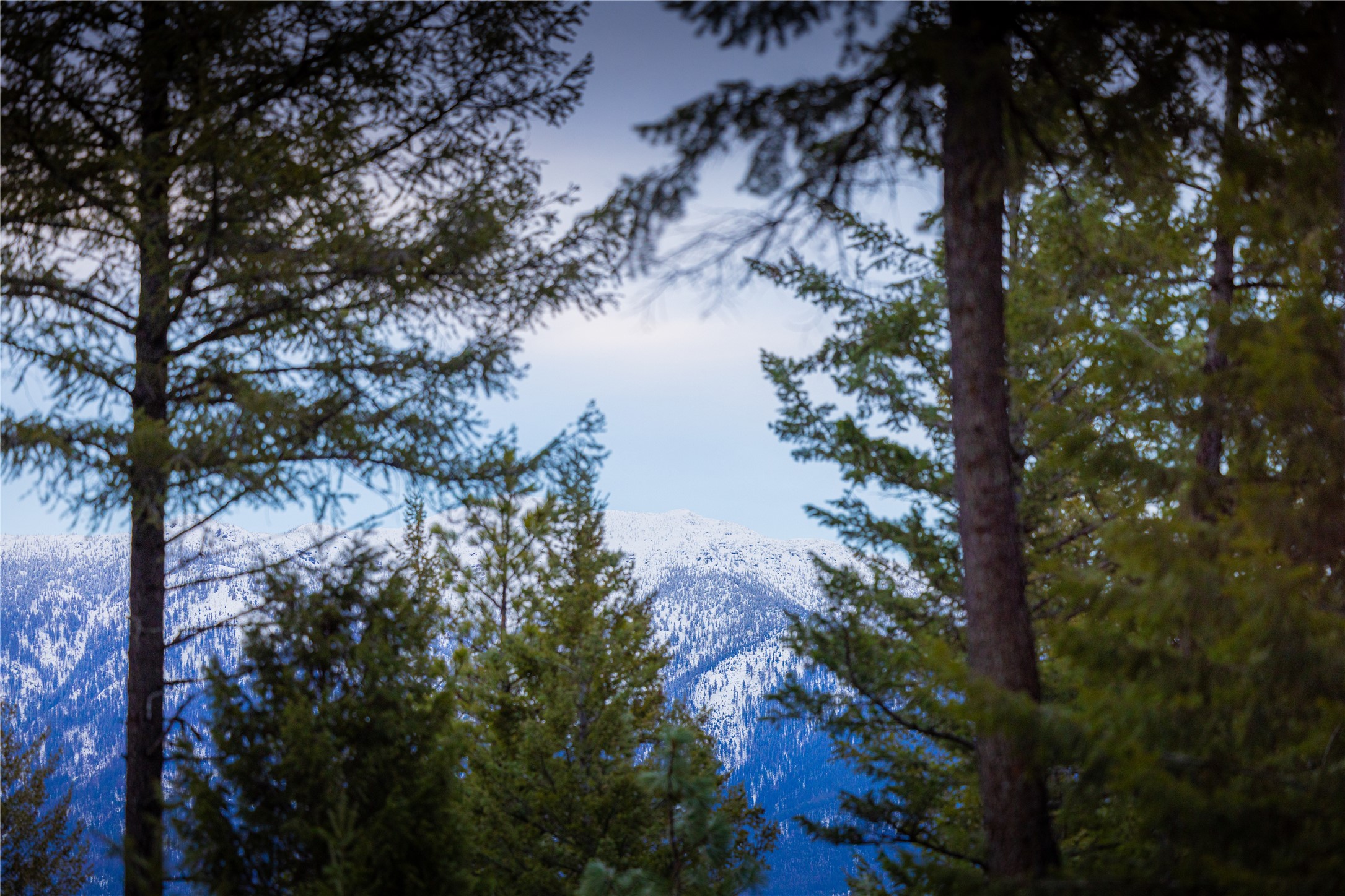 NHN Tobacco Valley View Road Lot 2