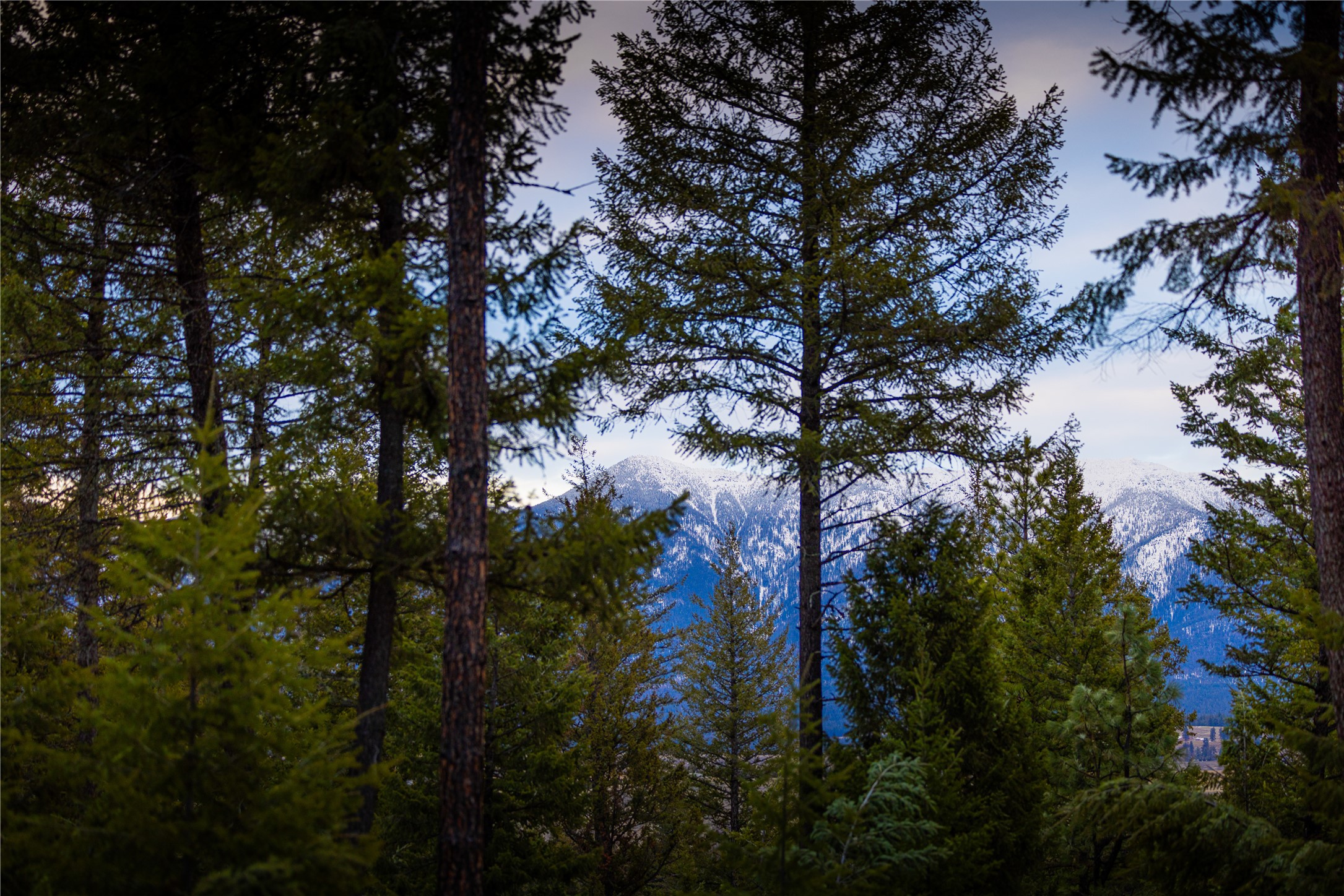 NHN Tobacco Valley View Road Lot 2