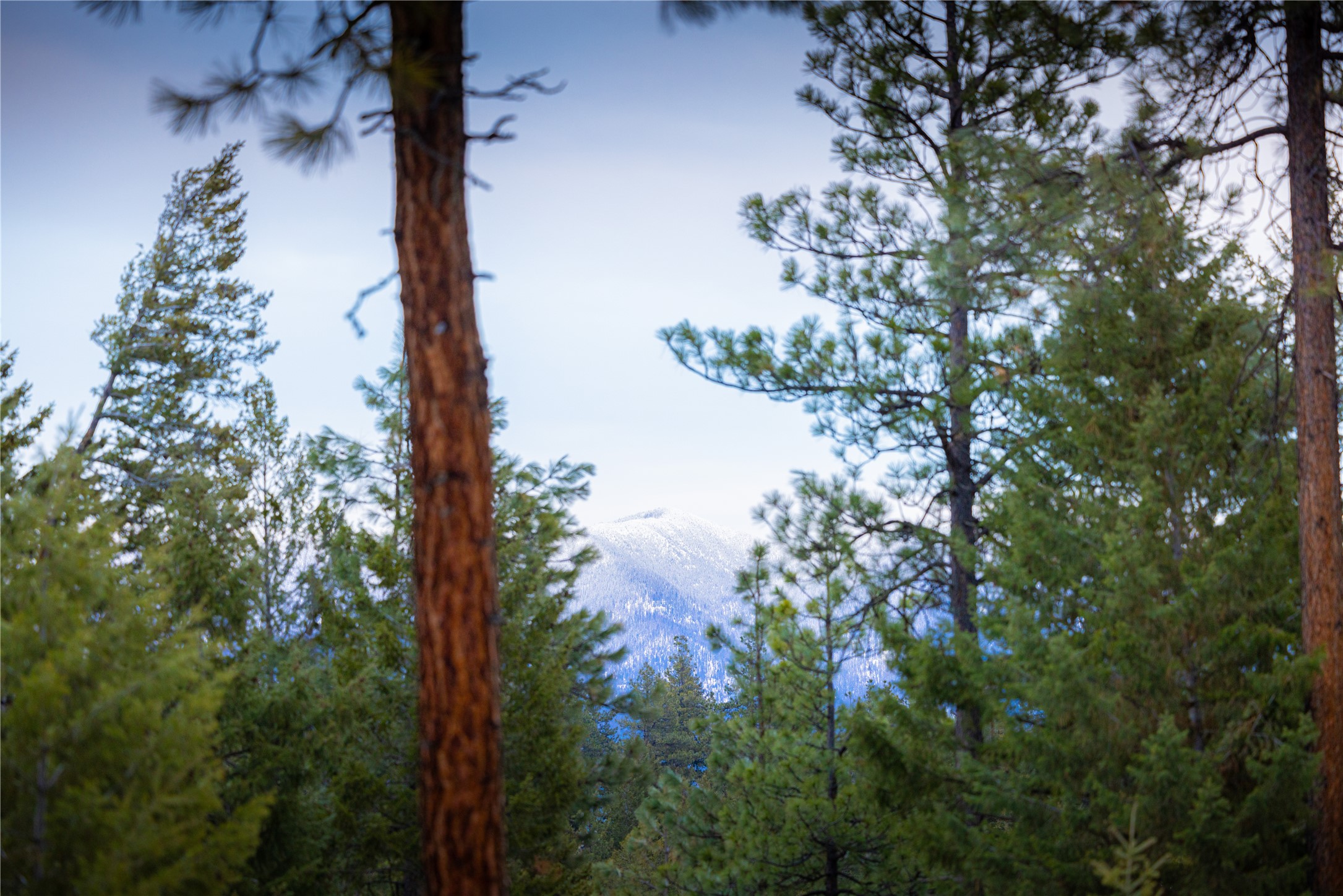 NHN Tobacco Valley View Road Lot 2