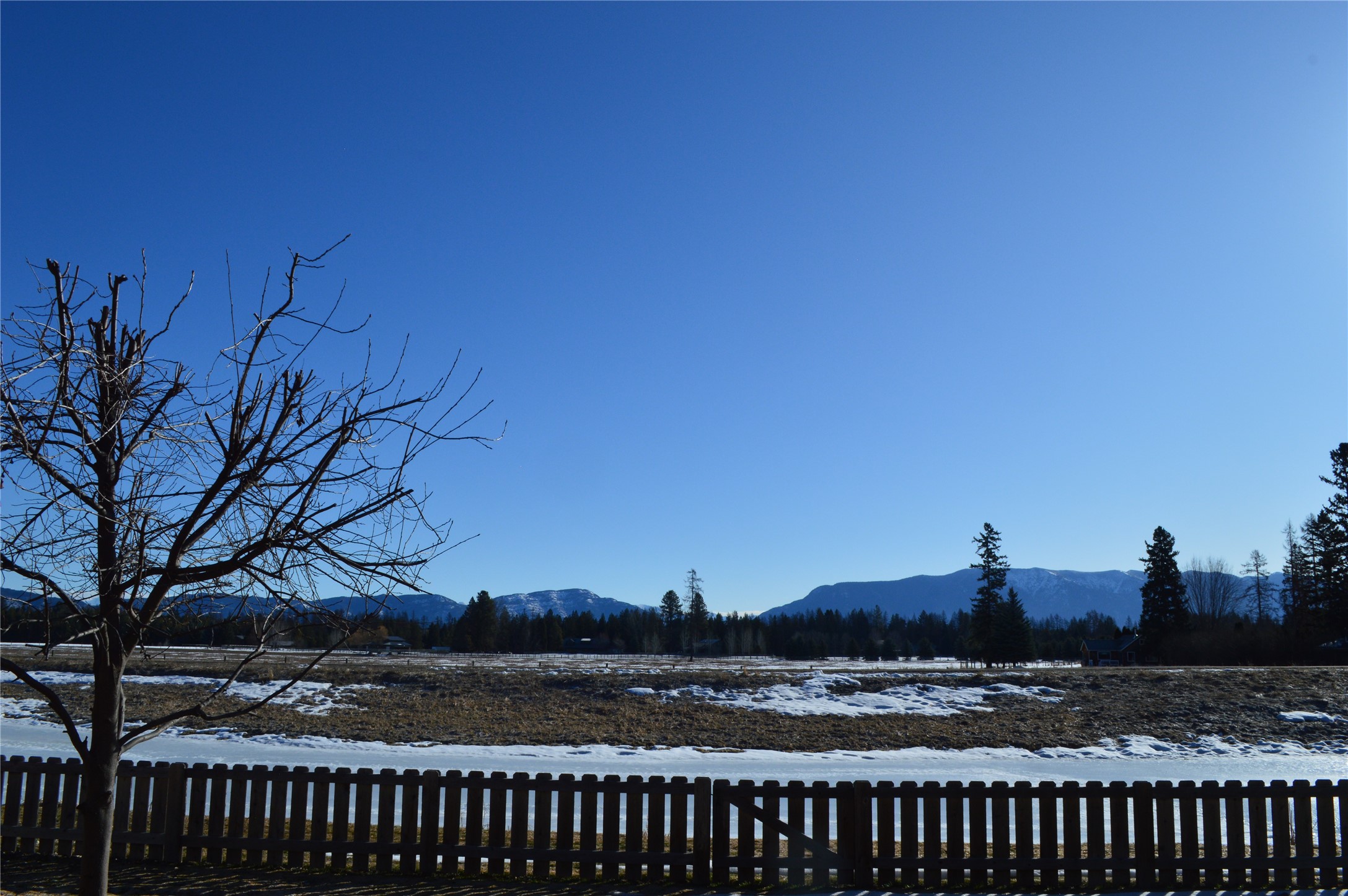 5009 Flatwater Drive