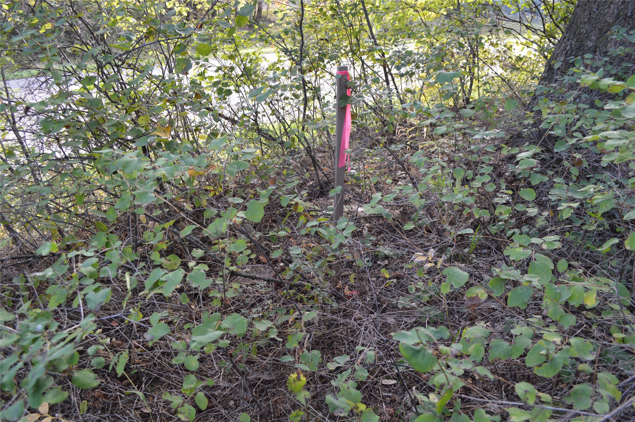 274 Meadow Lake Boulevard