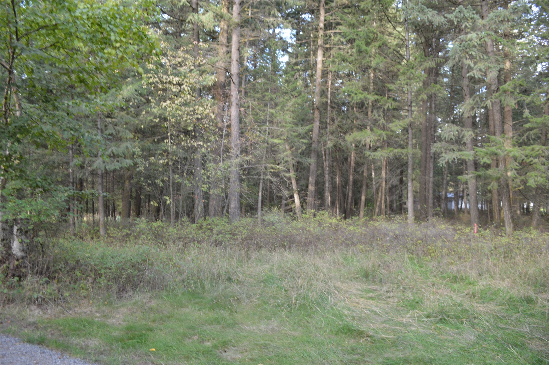 274 Meadow Lake Boulevard