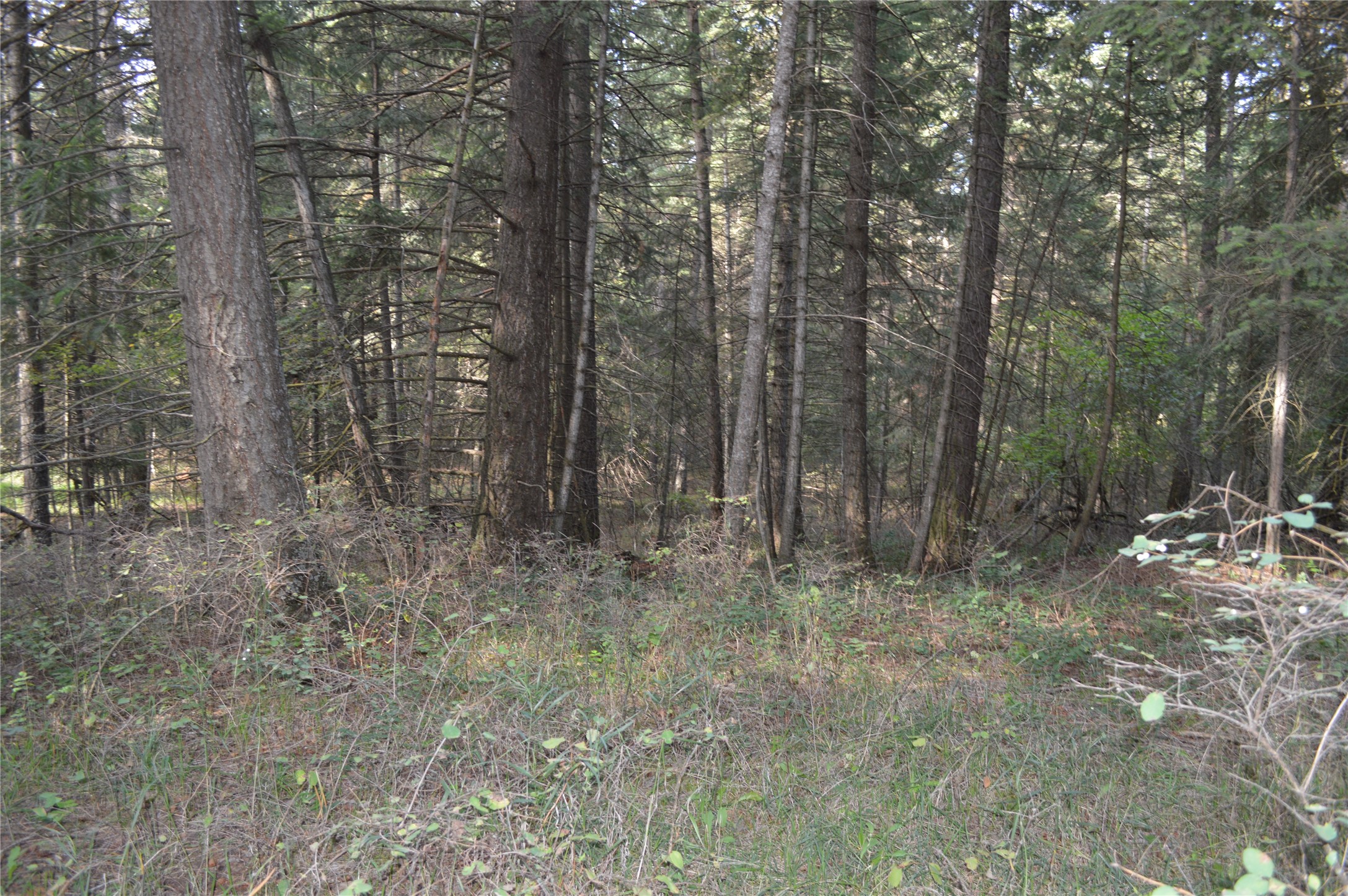 274 Meadow Lake Boulevard