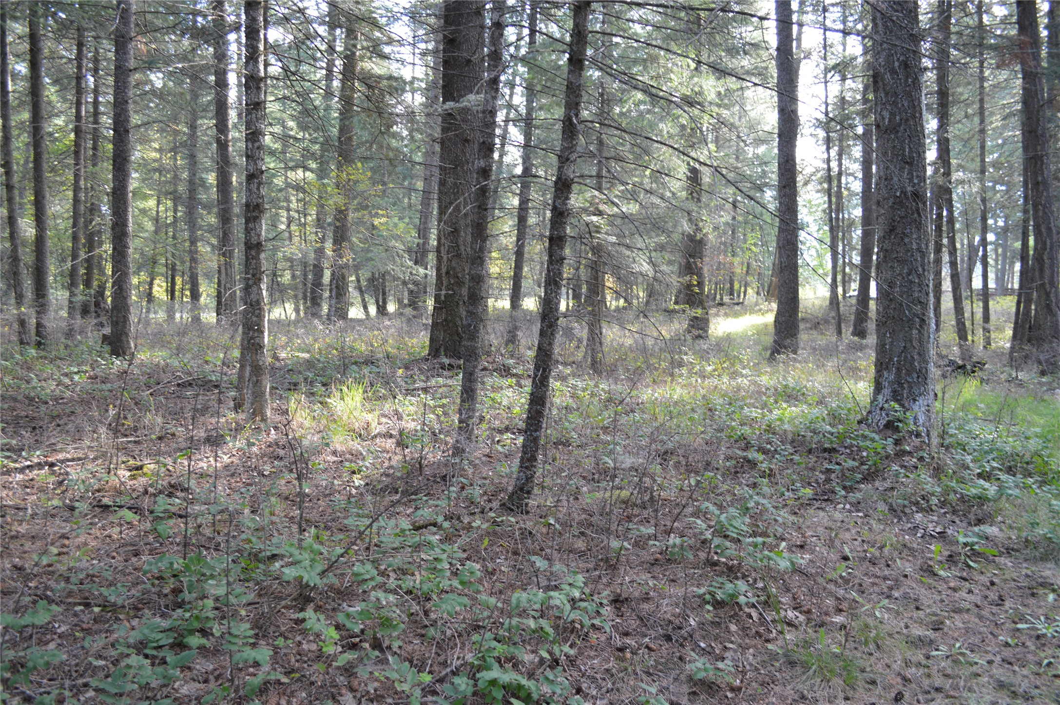 274 Meadow Lake Boulevard