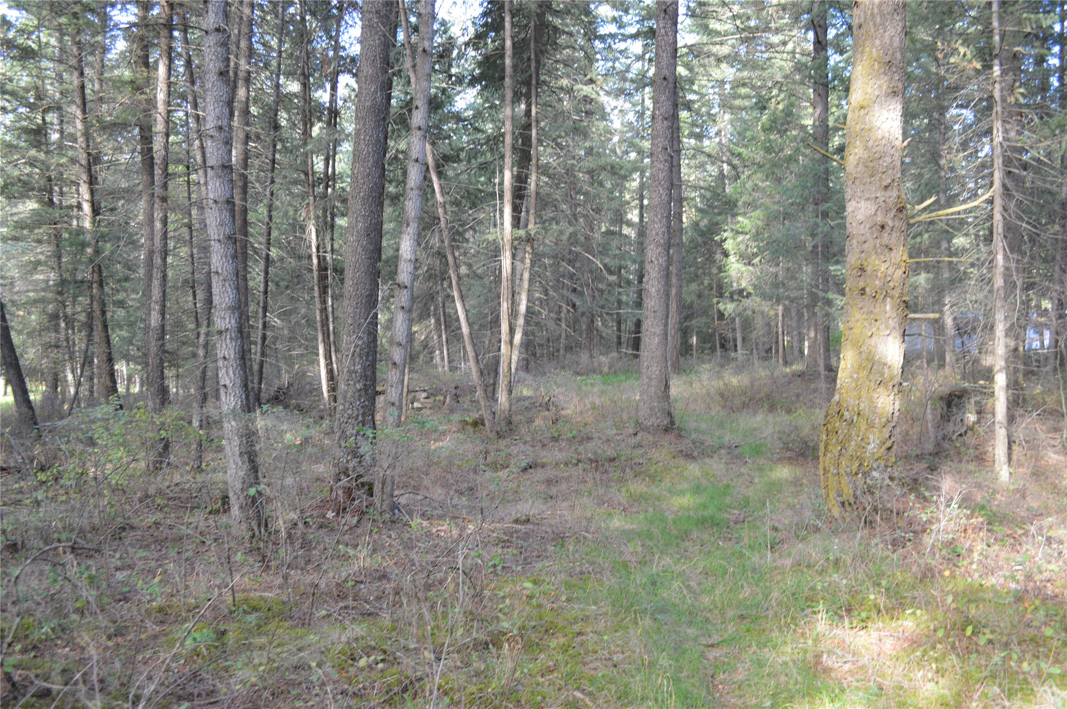 274 Meadow Lake Boulevard