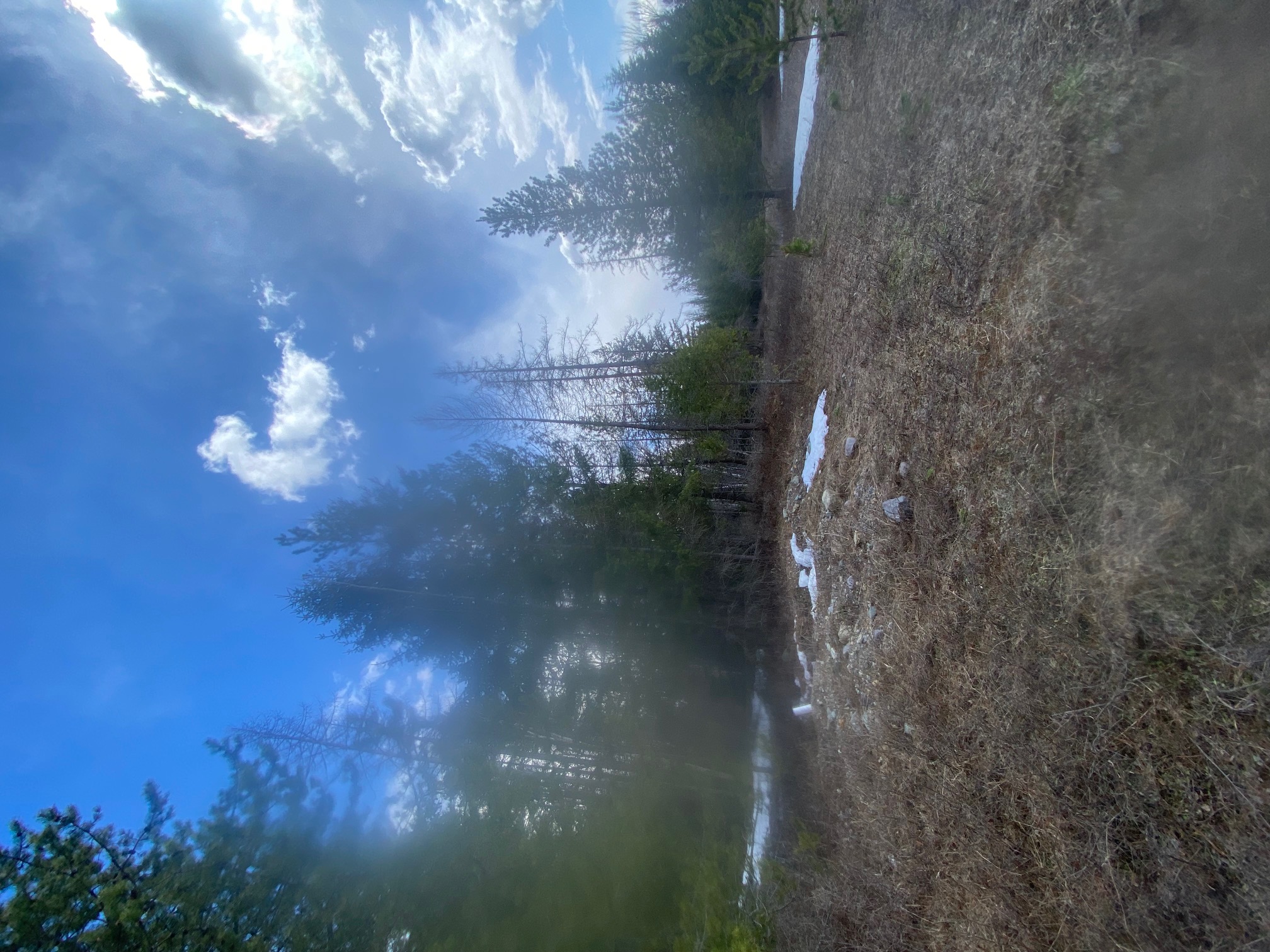214 Aspen Lane