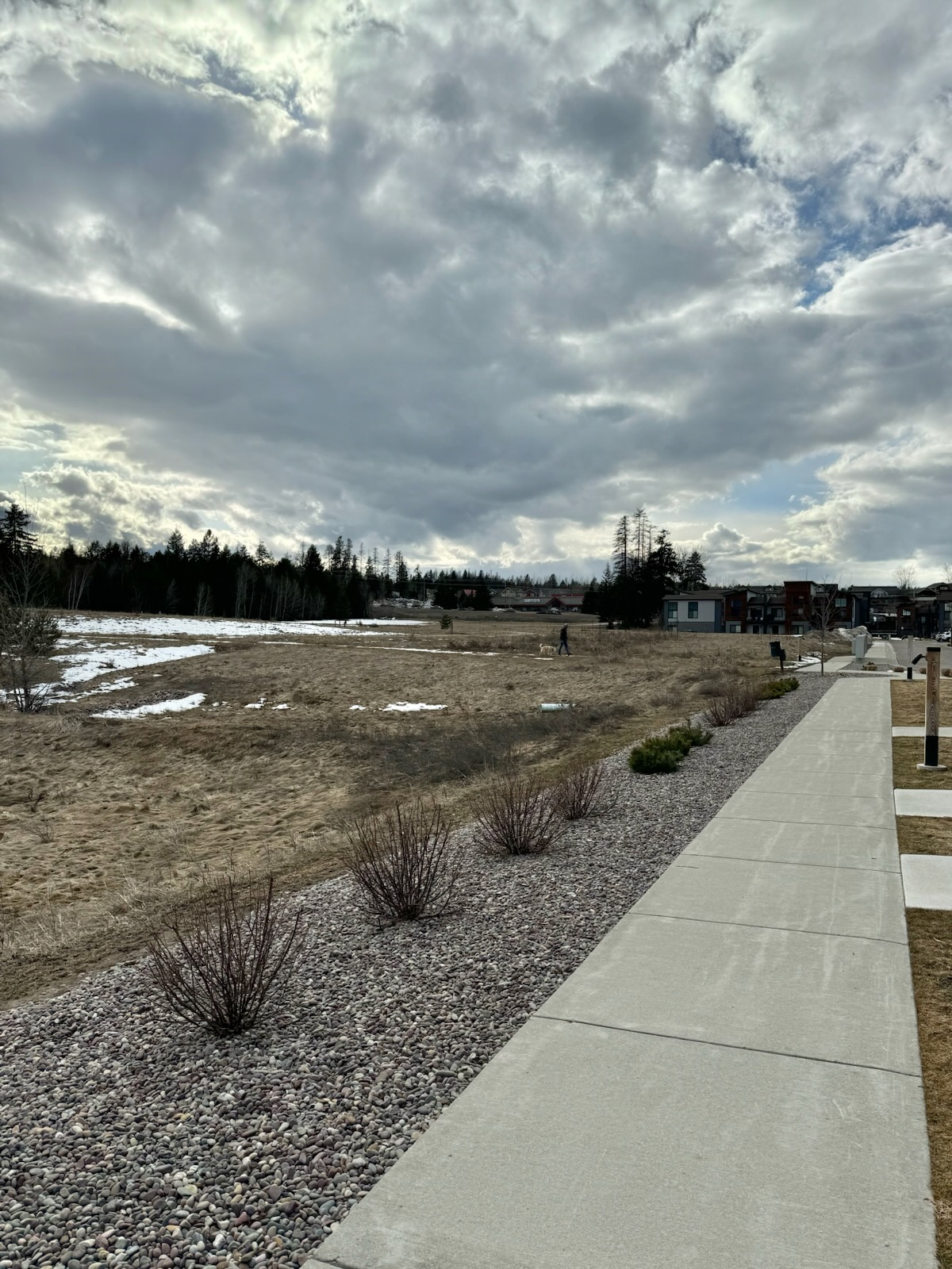 264 A Blackberry Loop Loop A