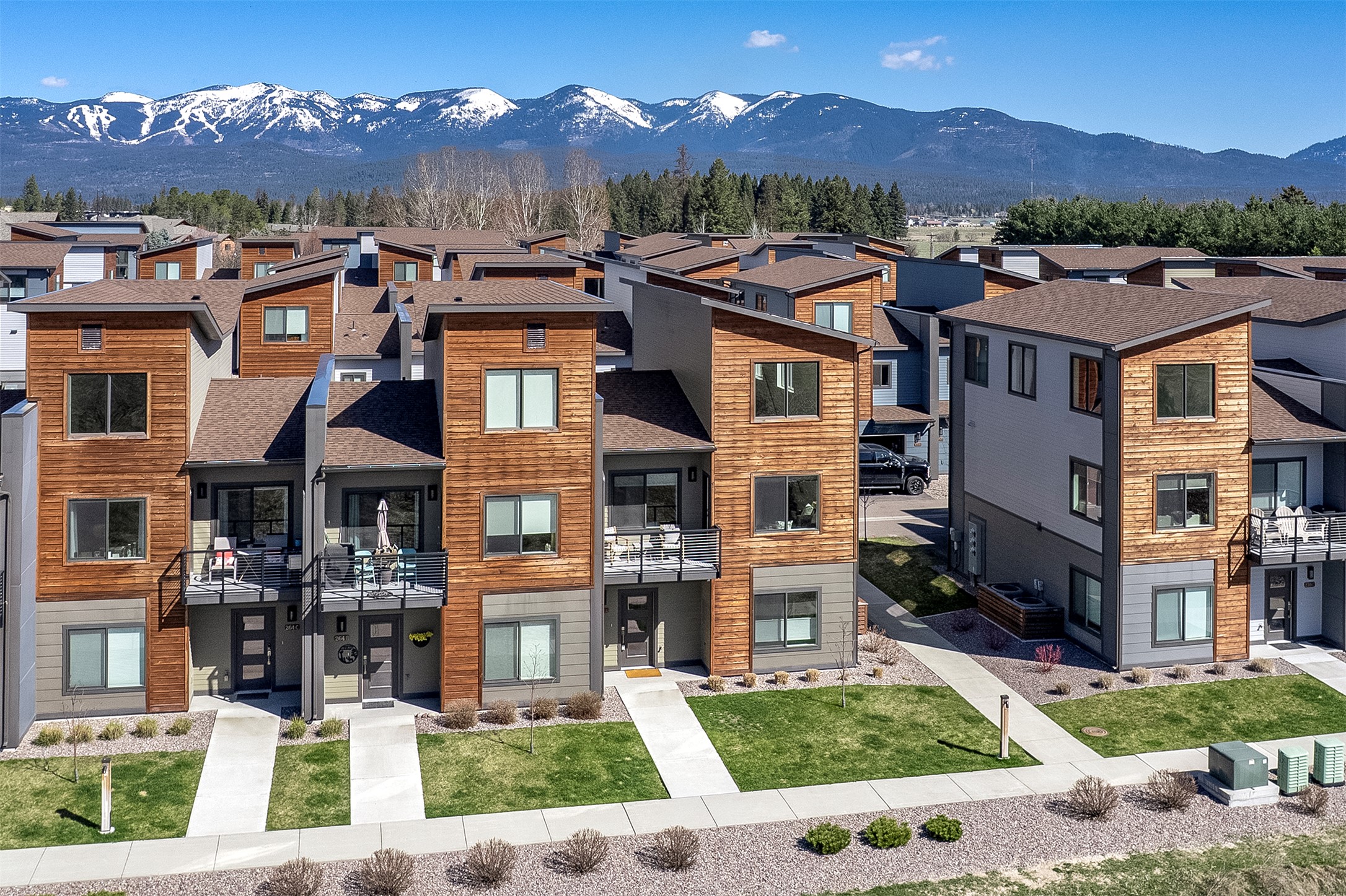 264 A Blackberry Loop Loop A