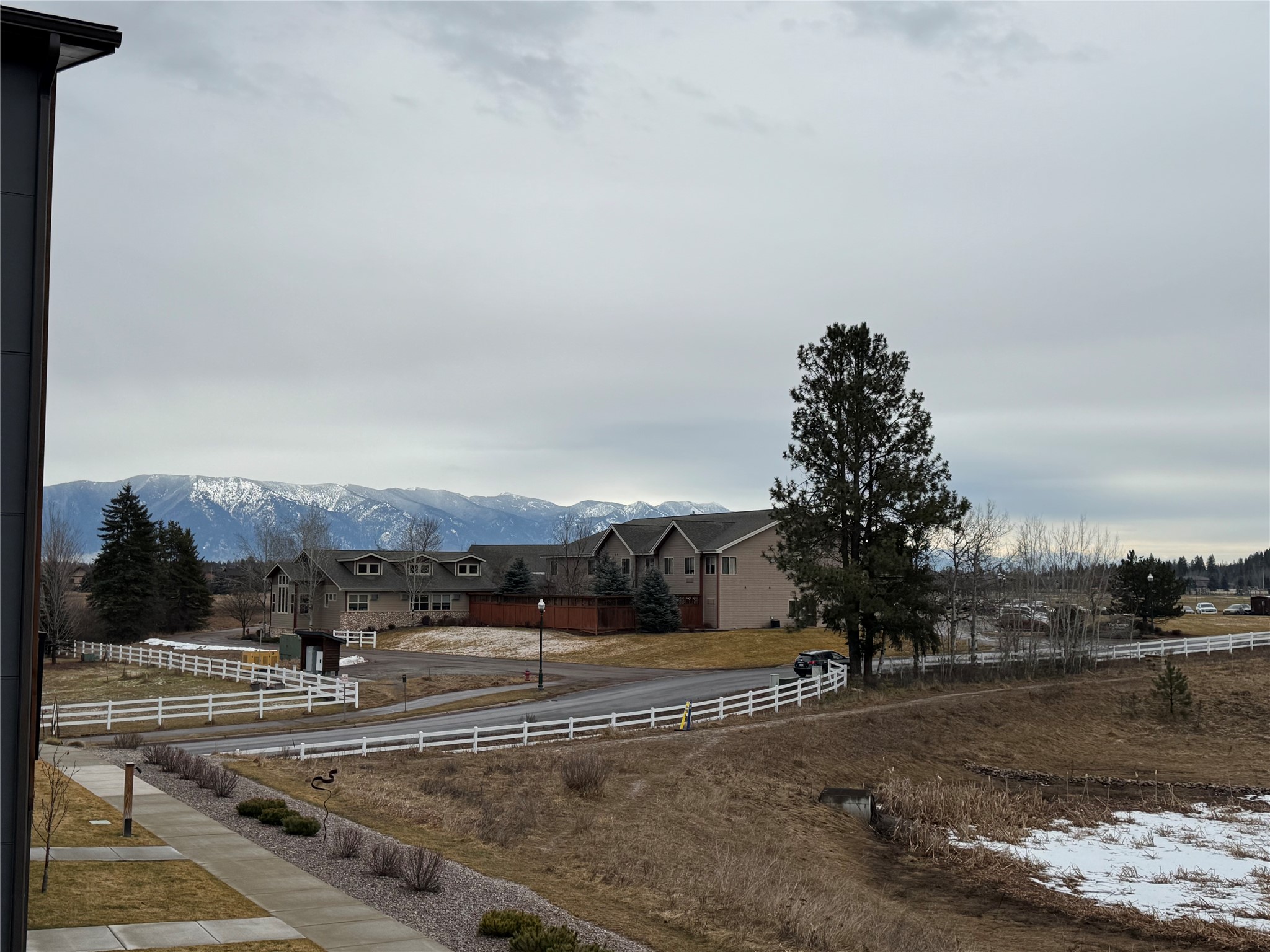 264 A Blackberry Loop Loop A