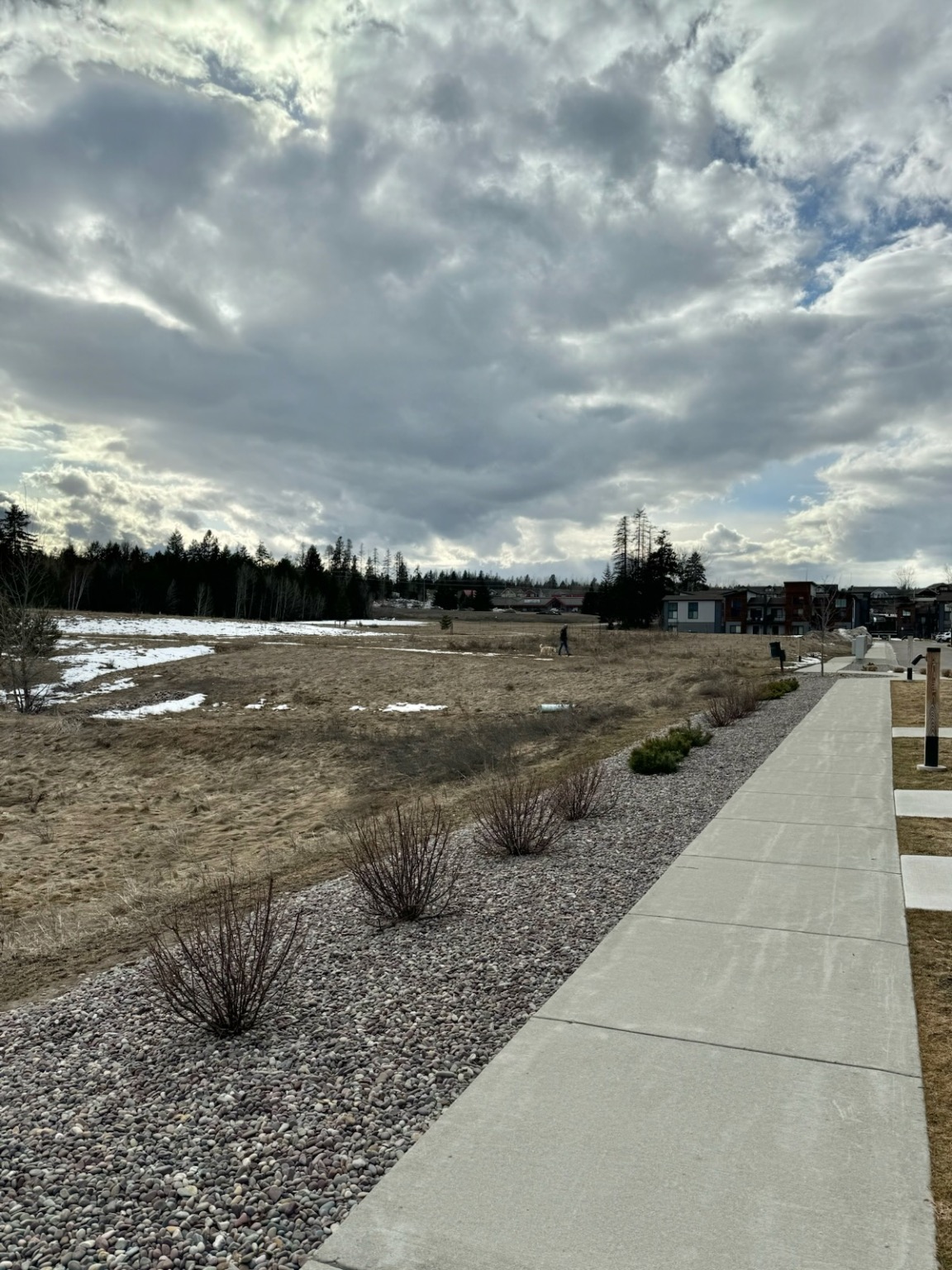 264 A Blackberry Loop Loop A