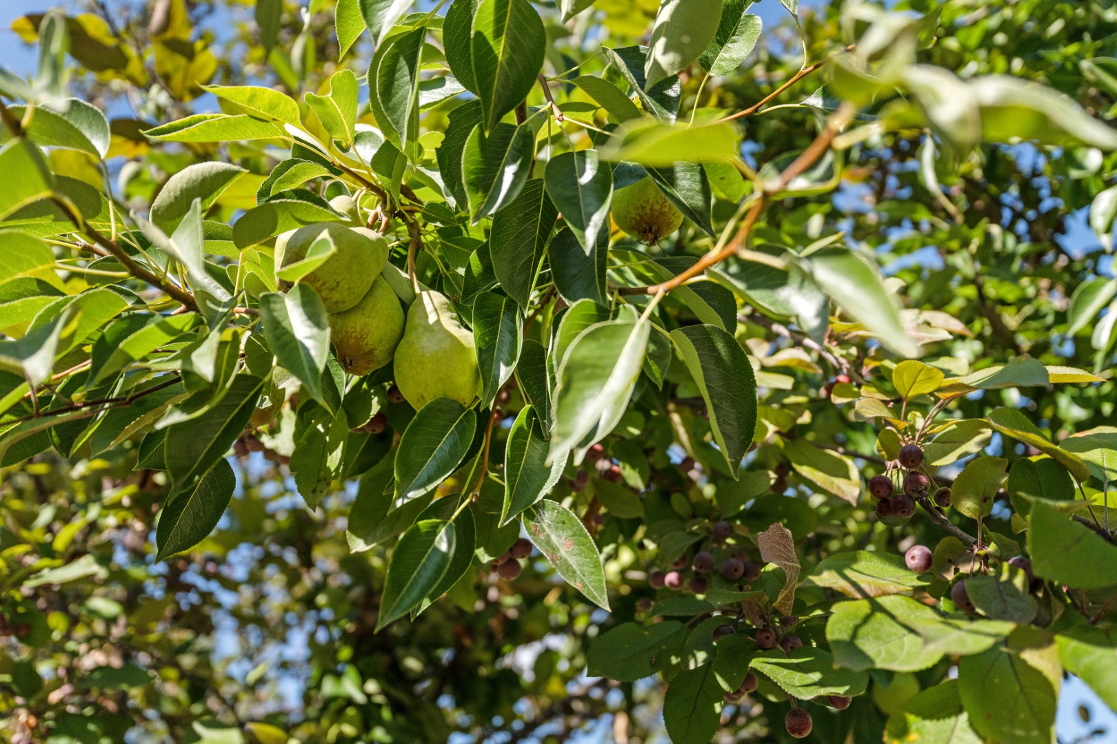 24 River Falls Drive