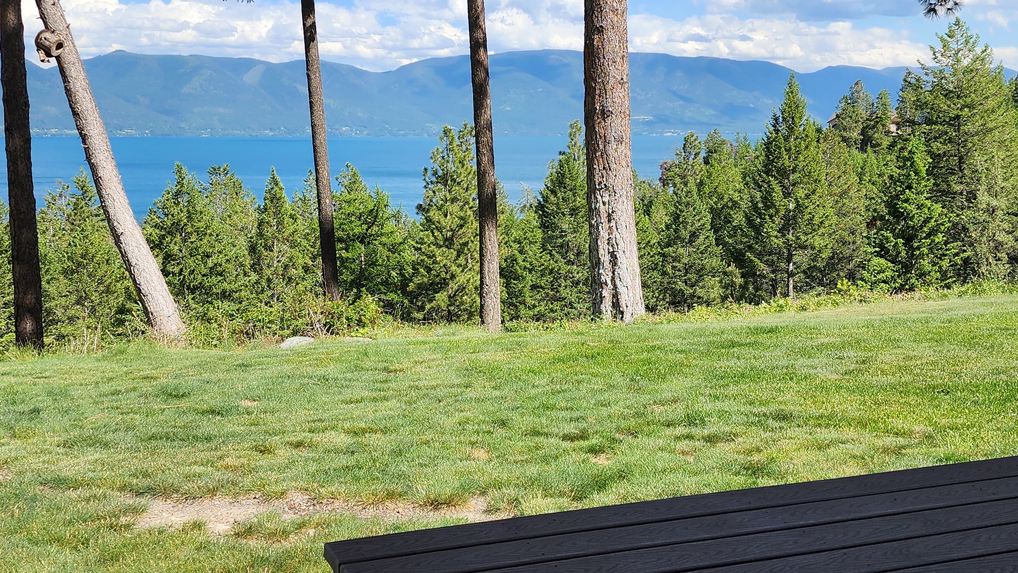 19486 Wildwood Ridge