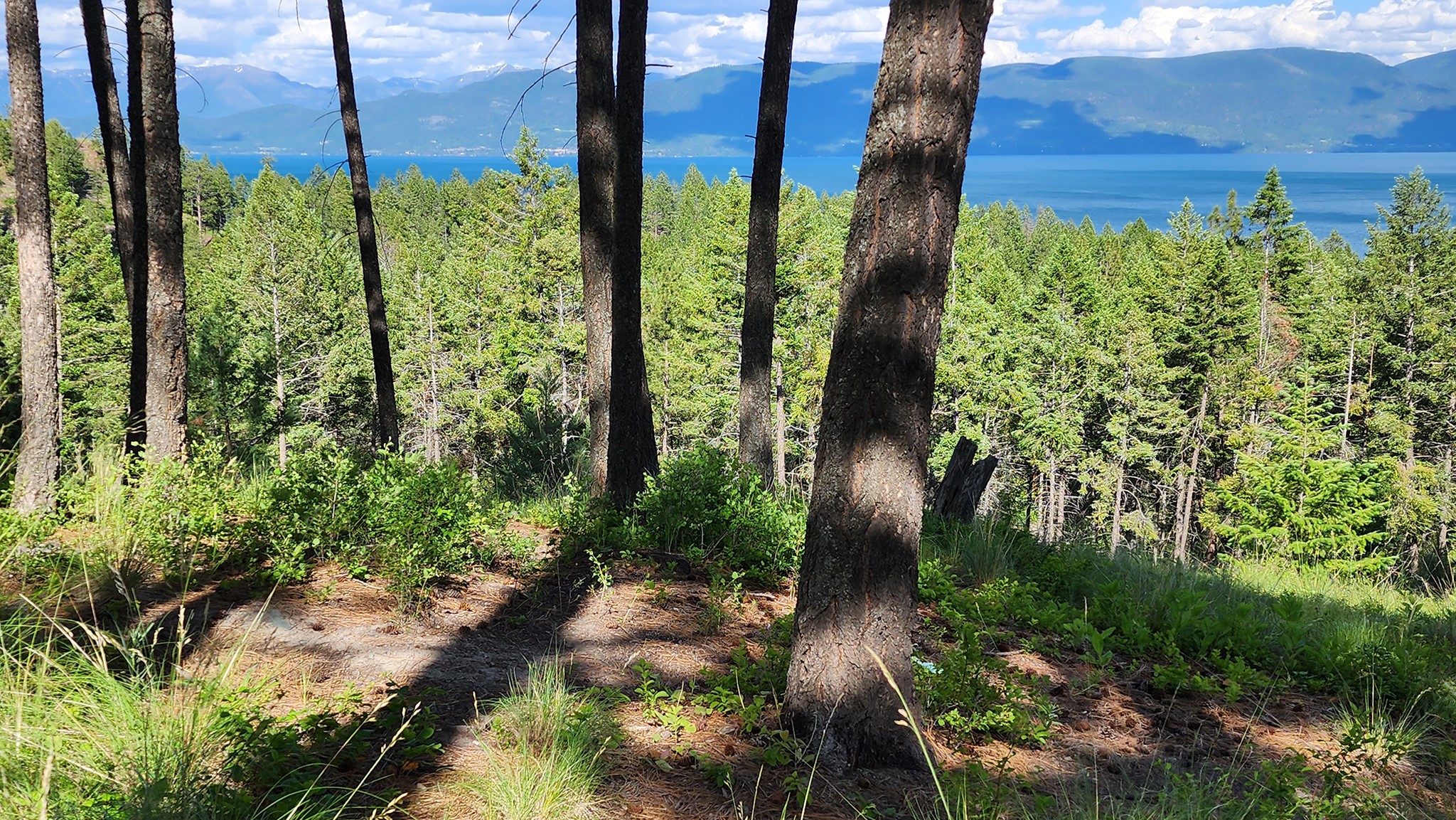 19486 Wildwood Ridge