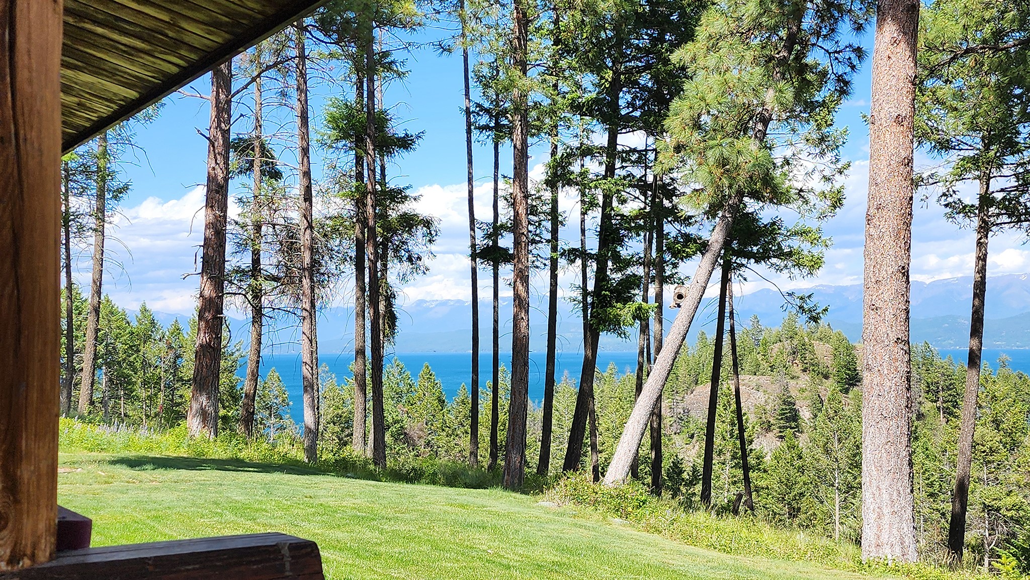 19486 Wildwood Ridge