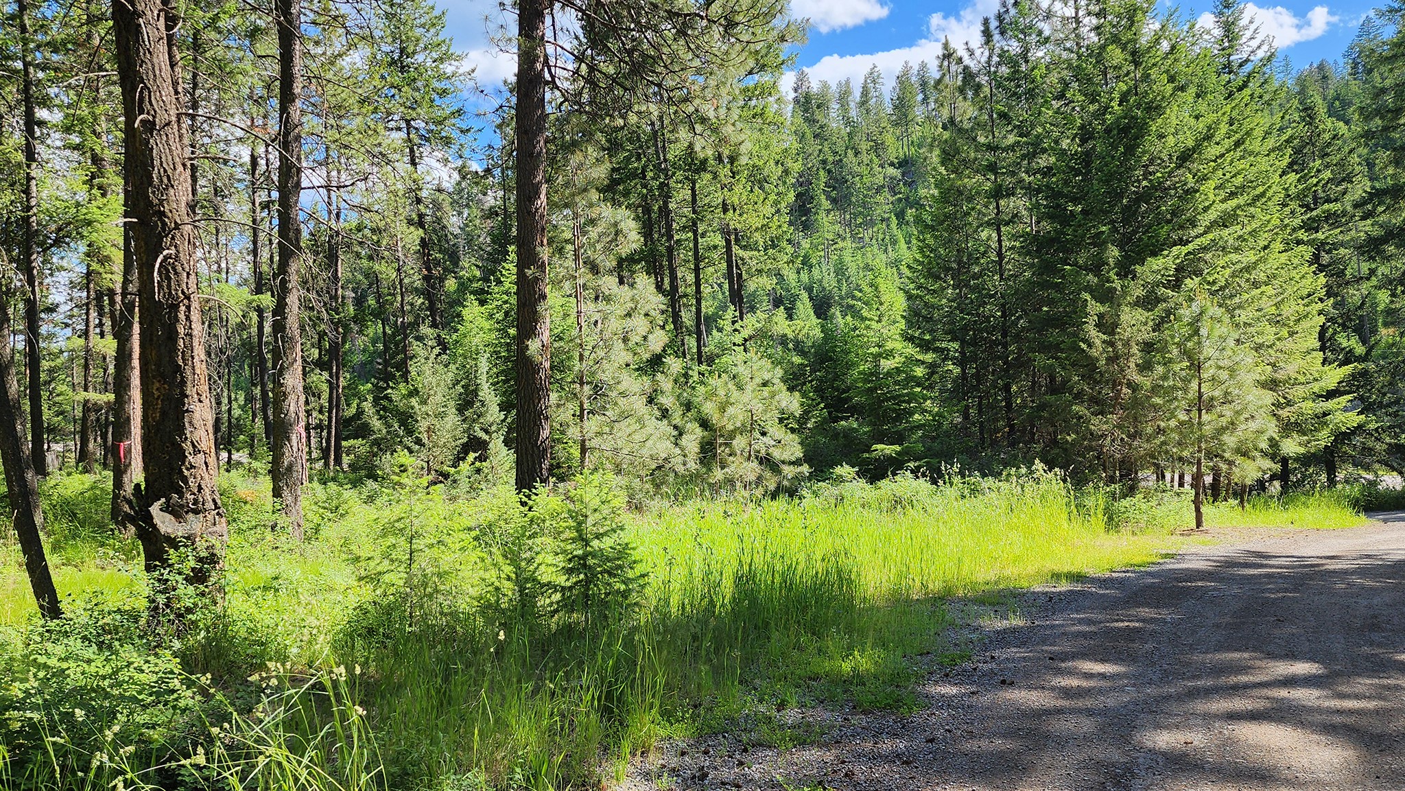 19486 Wildwood Ridge