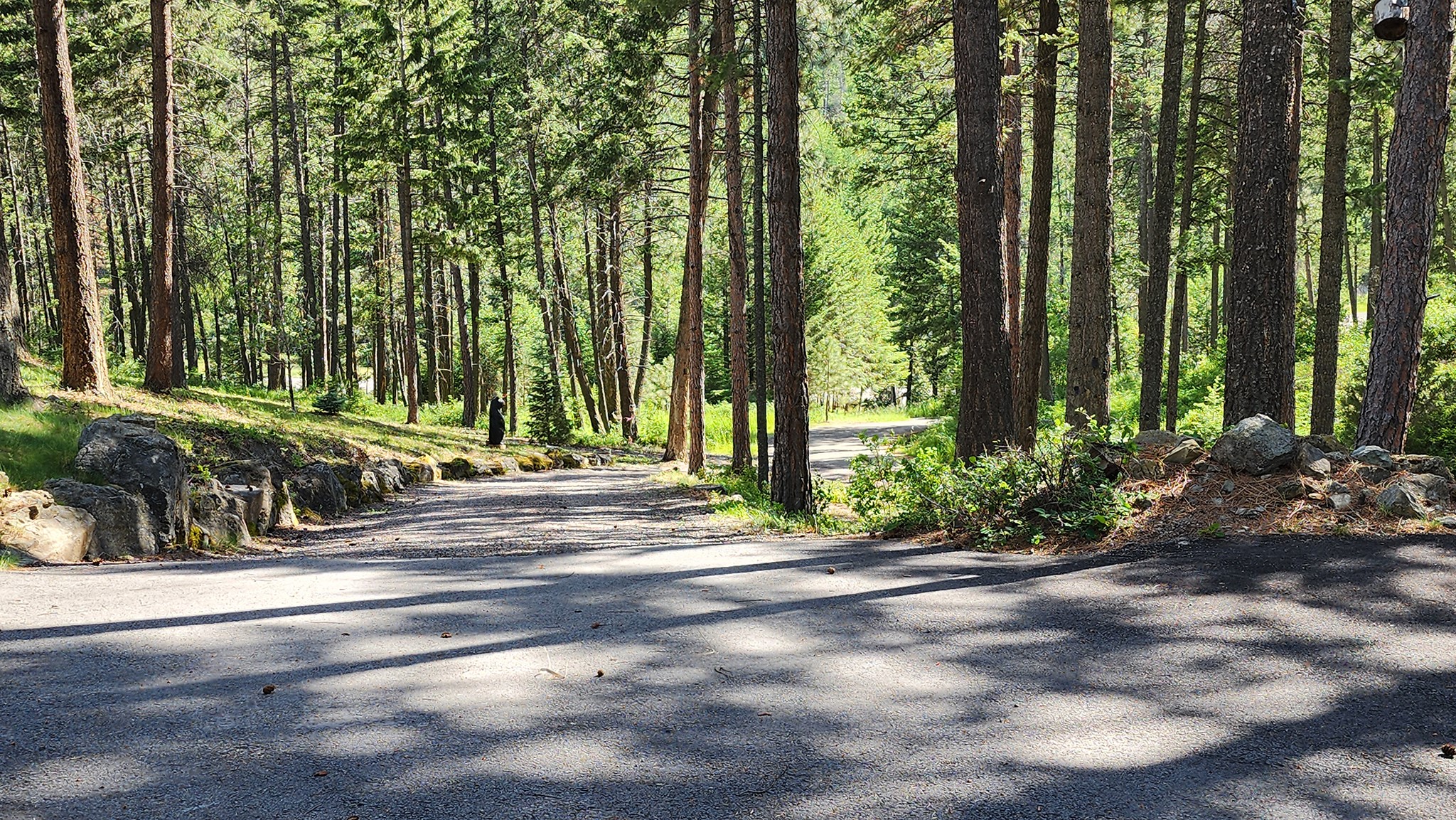 19486 Wildwood Ridge