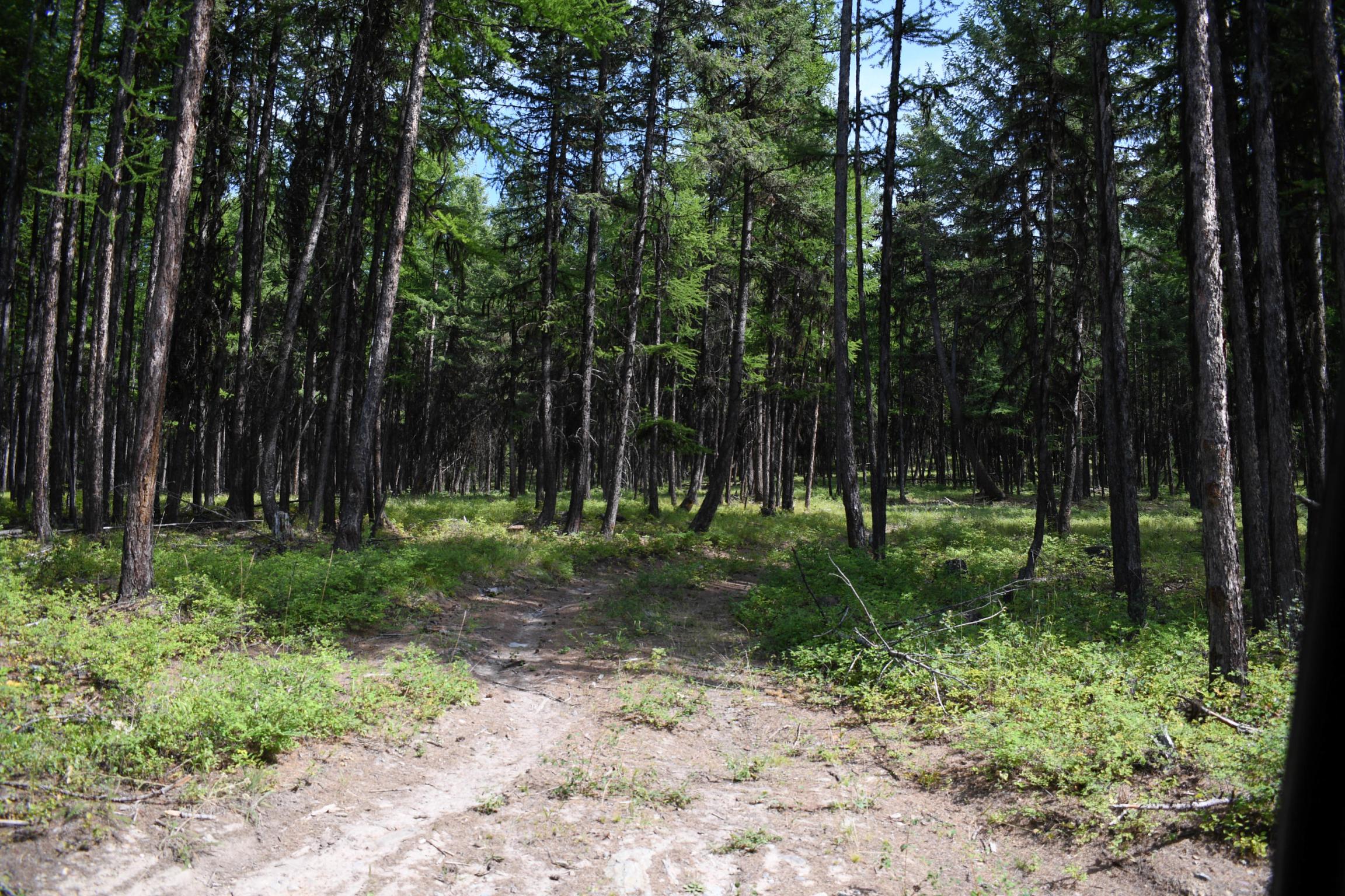 Lot 2b Phills Lake Road