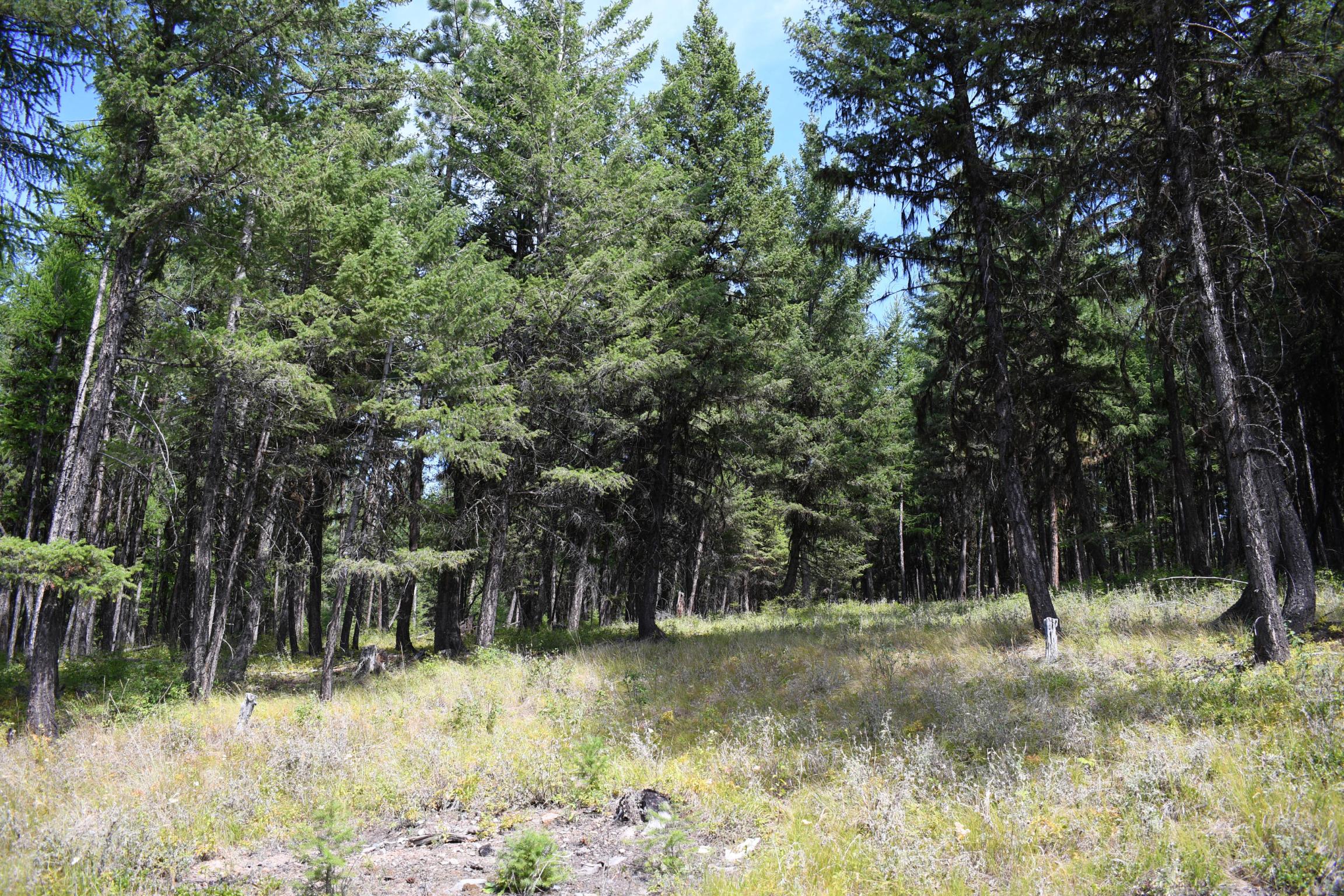 Lot 2b Phills Lake Road