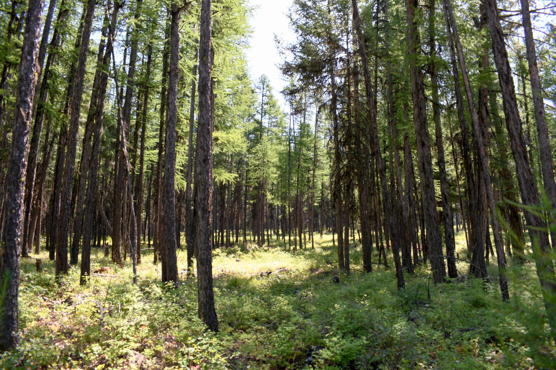 Lot 2b Phills Lake Road