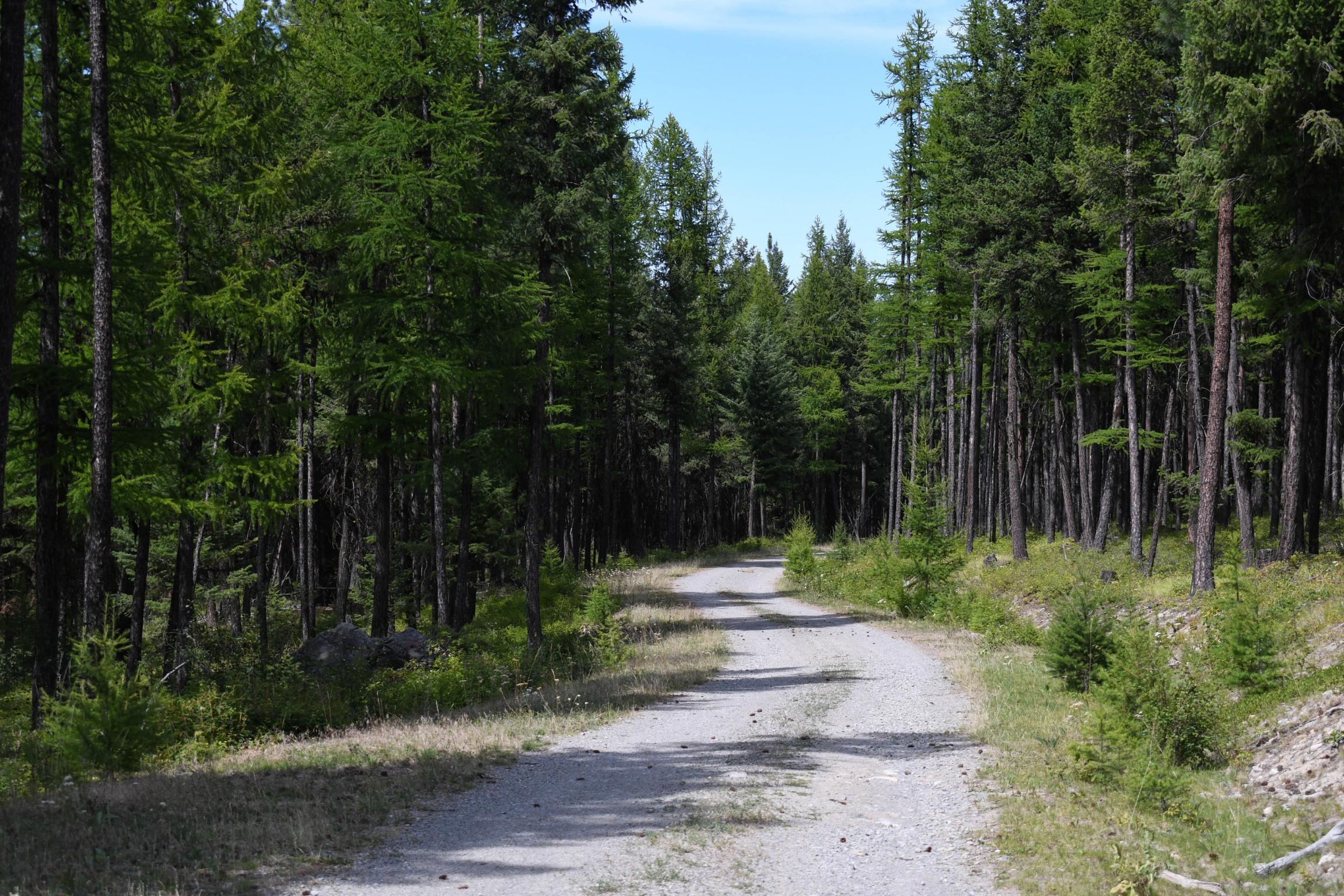 Lot 2b Phills Lake Road