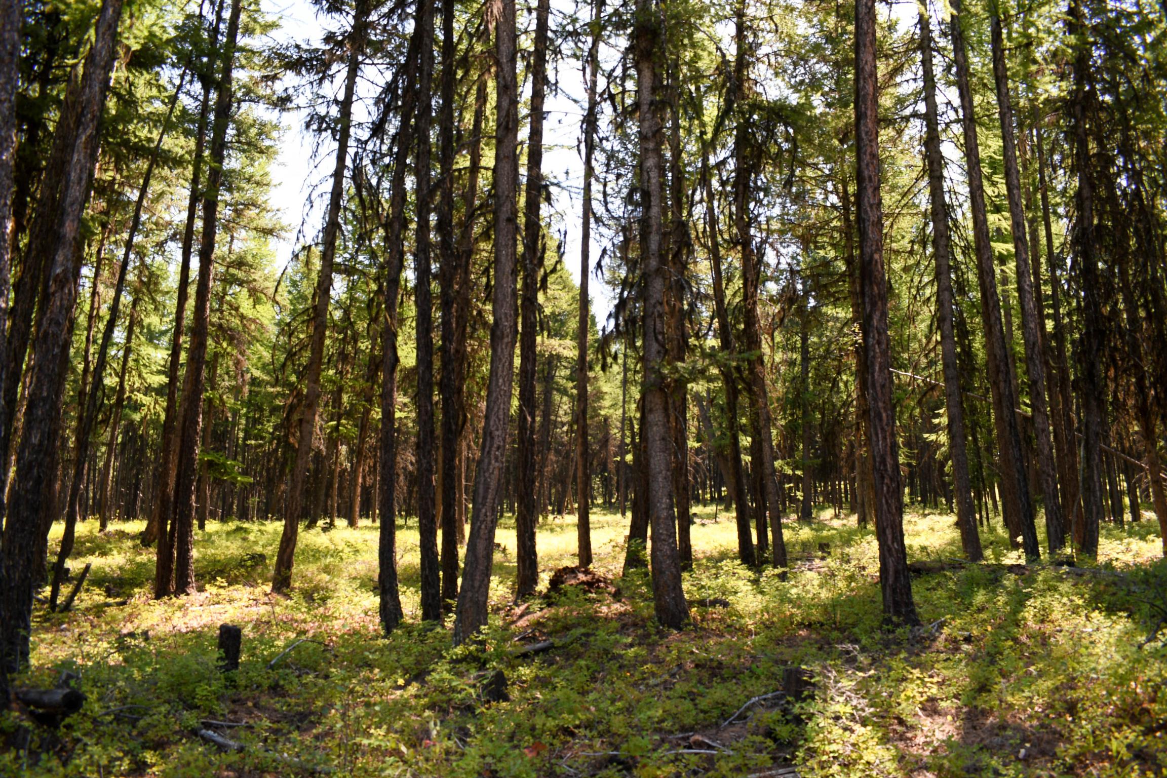 Lot 2b Phills Lake Road