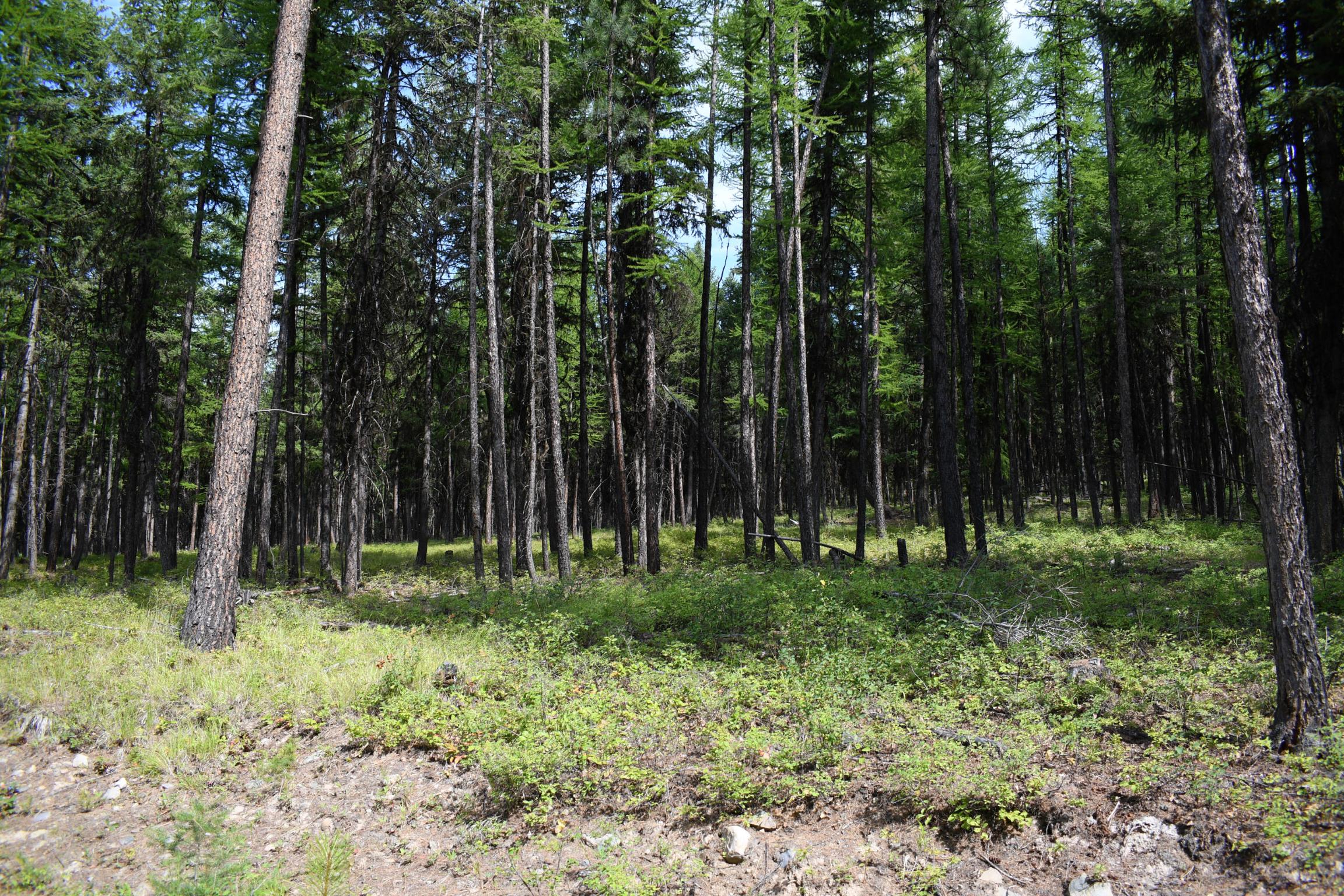 Lot 2b Phills Lake Road