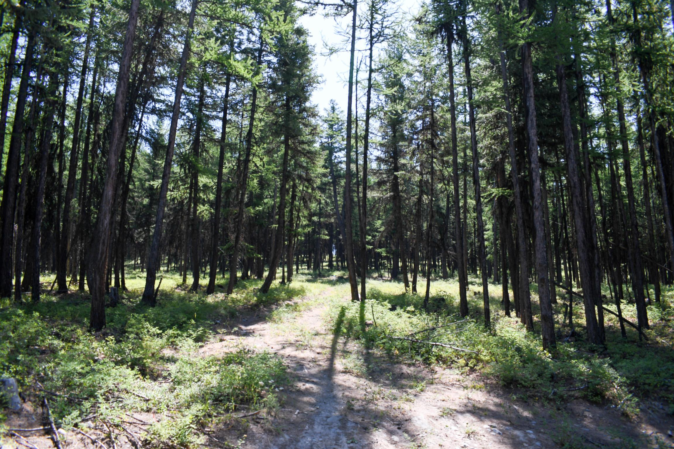 Lot 2b Phills Lake Road