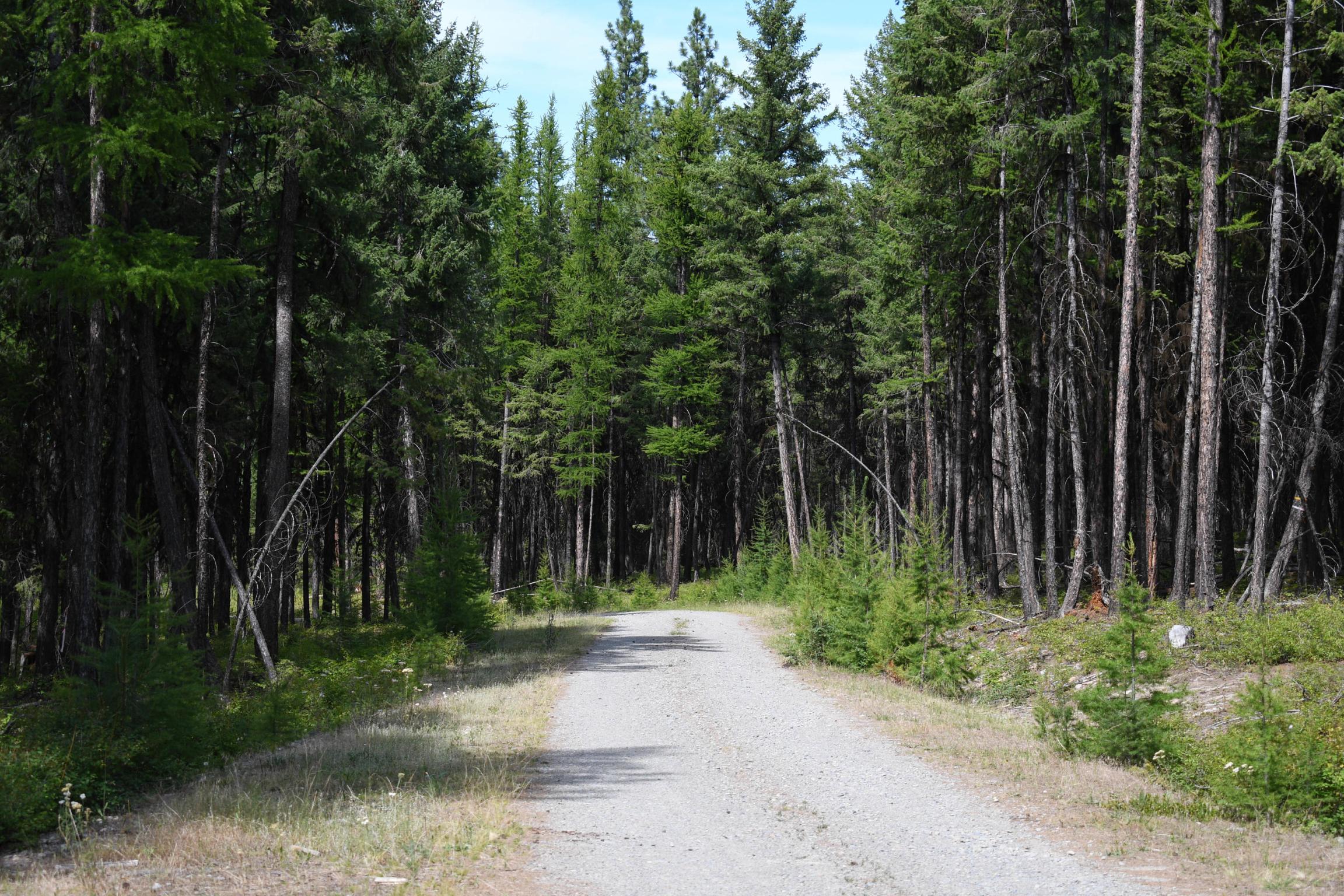 Lot 2b Phills Lake Road