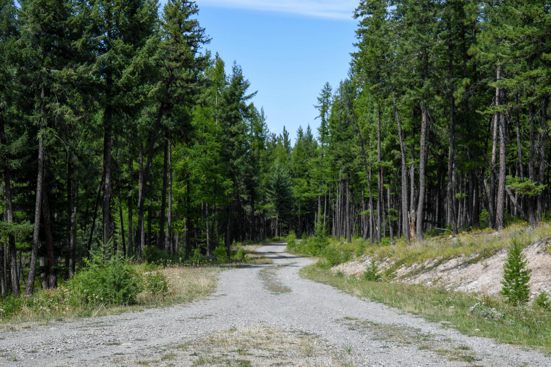 Lot 2b Phills Lake Road