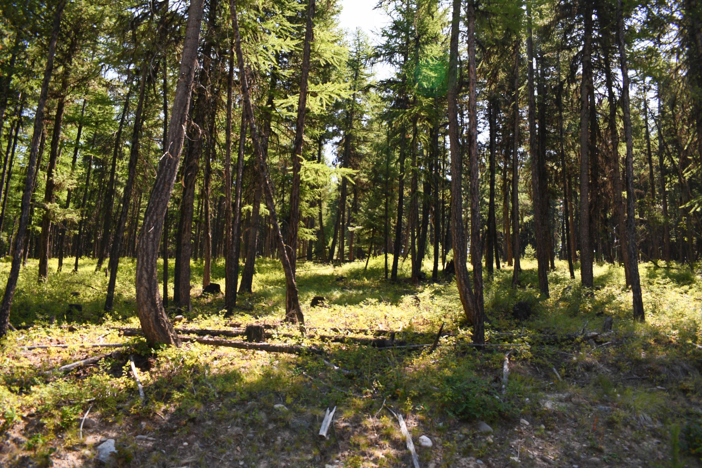 Lot 2b Phills Lake Road