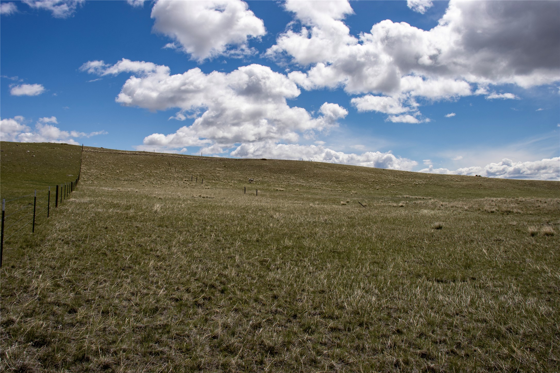 Lot 13 W Meadowlark Lane