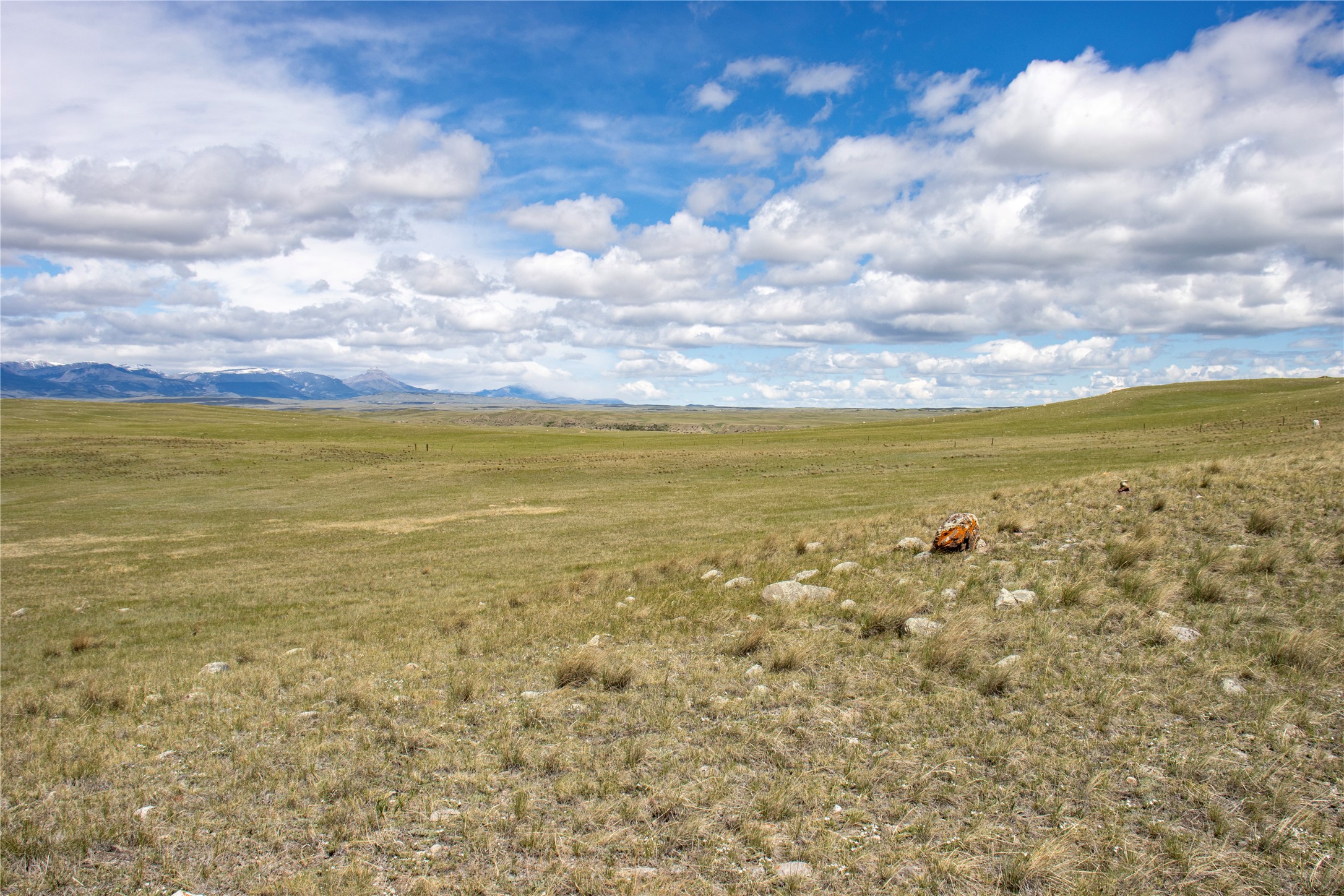 Lot 13 W Meadowlark Lane