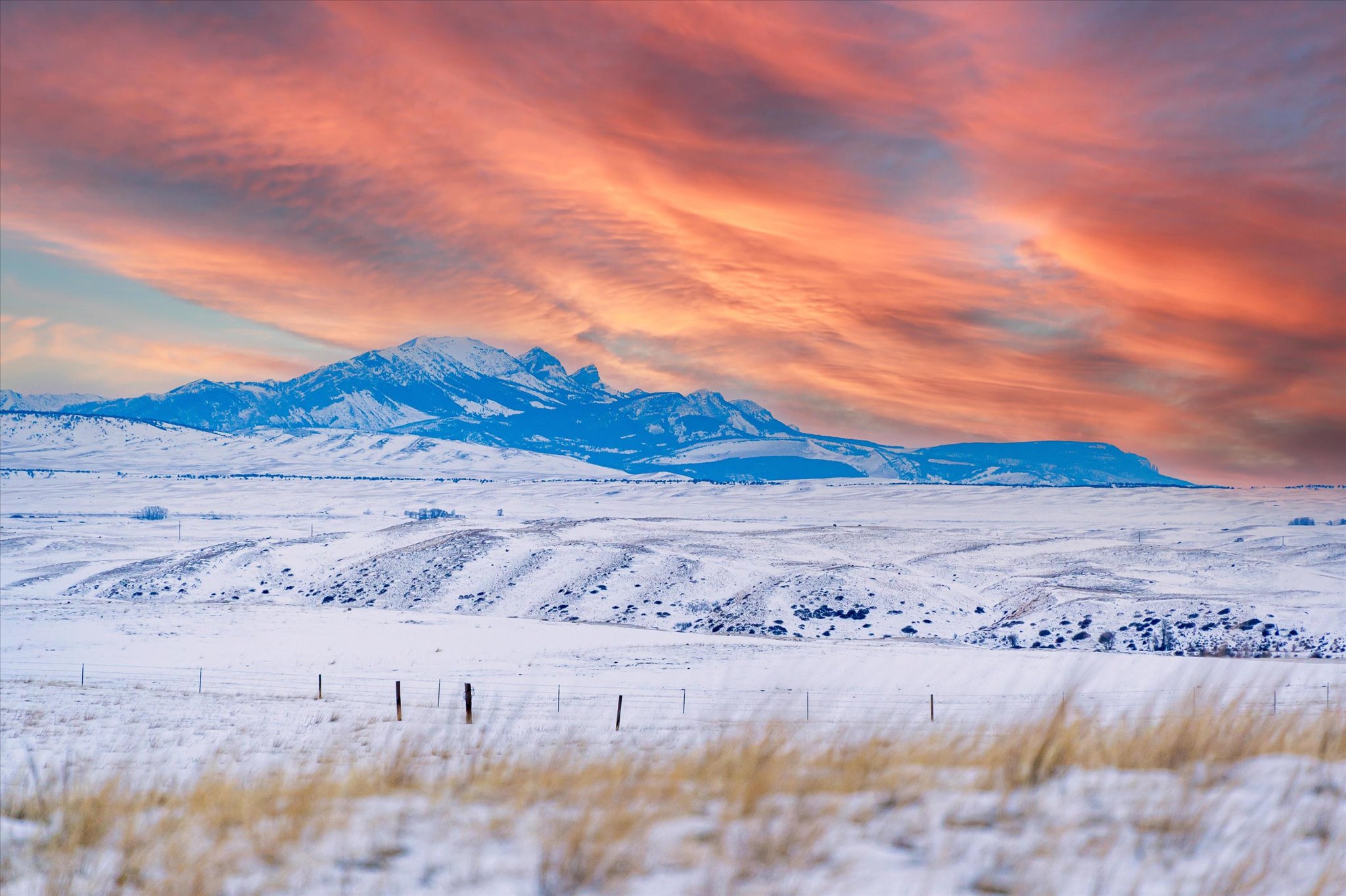 Lot 13 W Meadowlark Lane