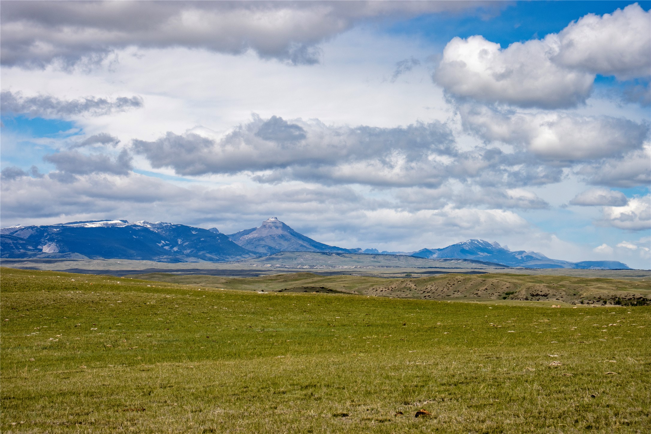 Lot 13 W Meadowlark Lane