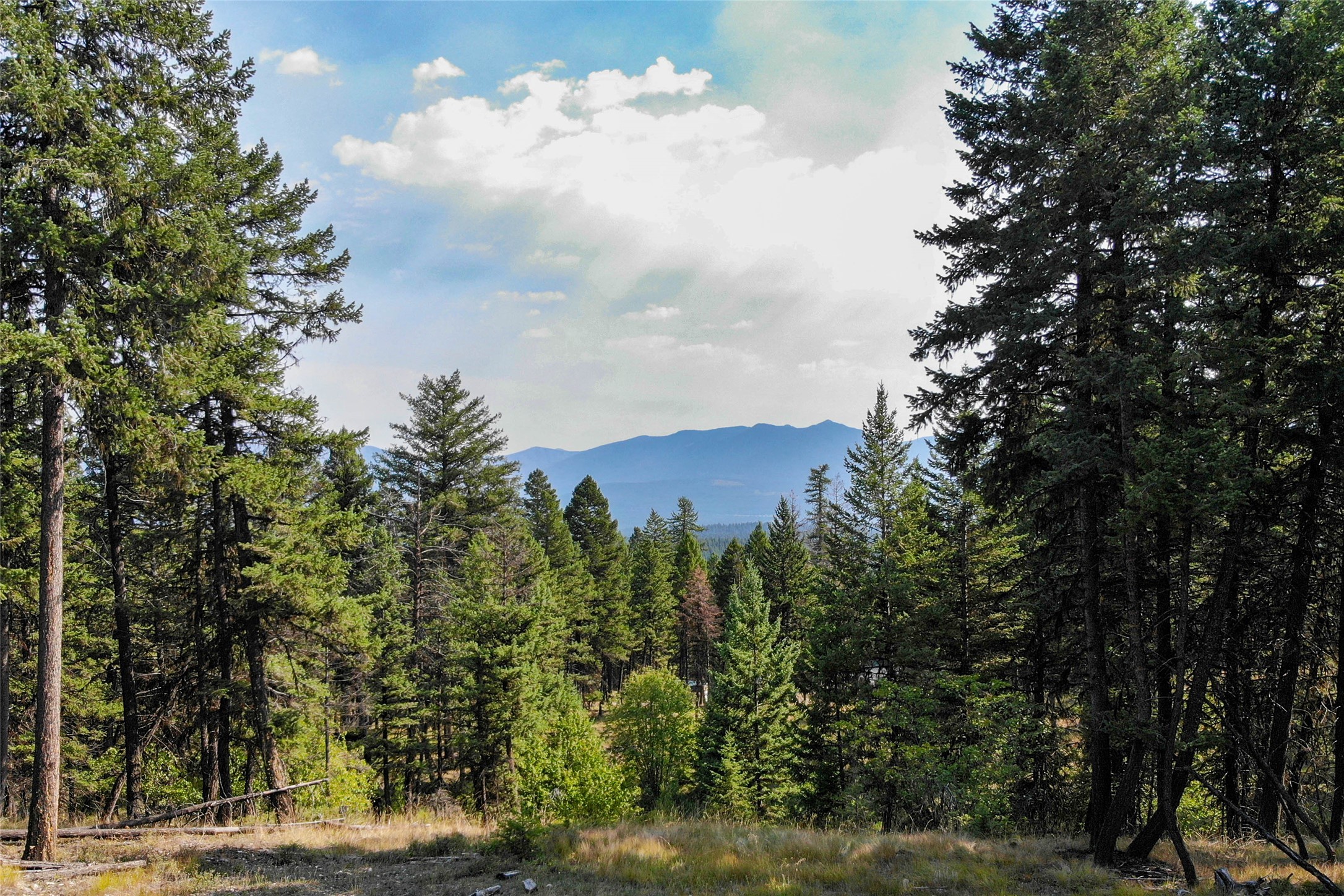 202 Grizzly Gulch Road