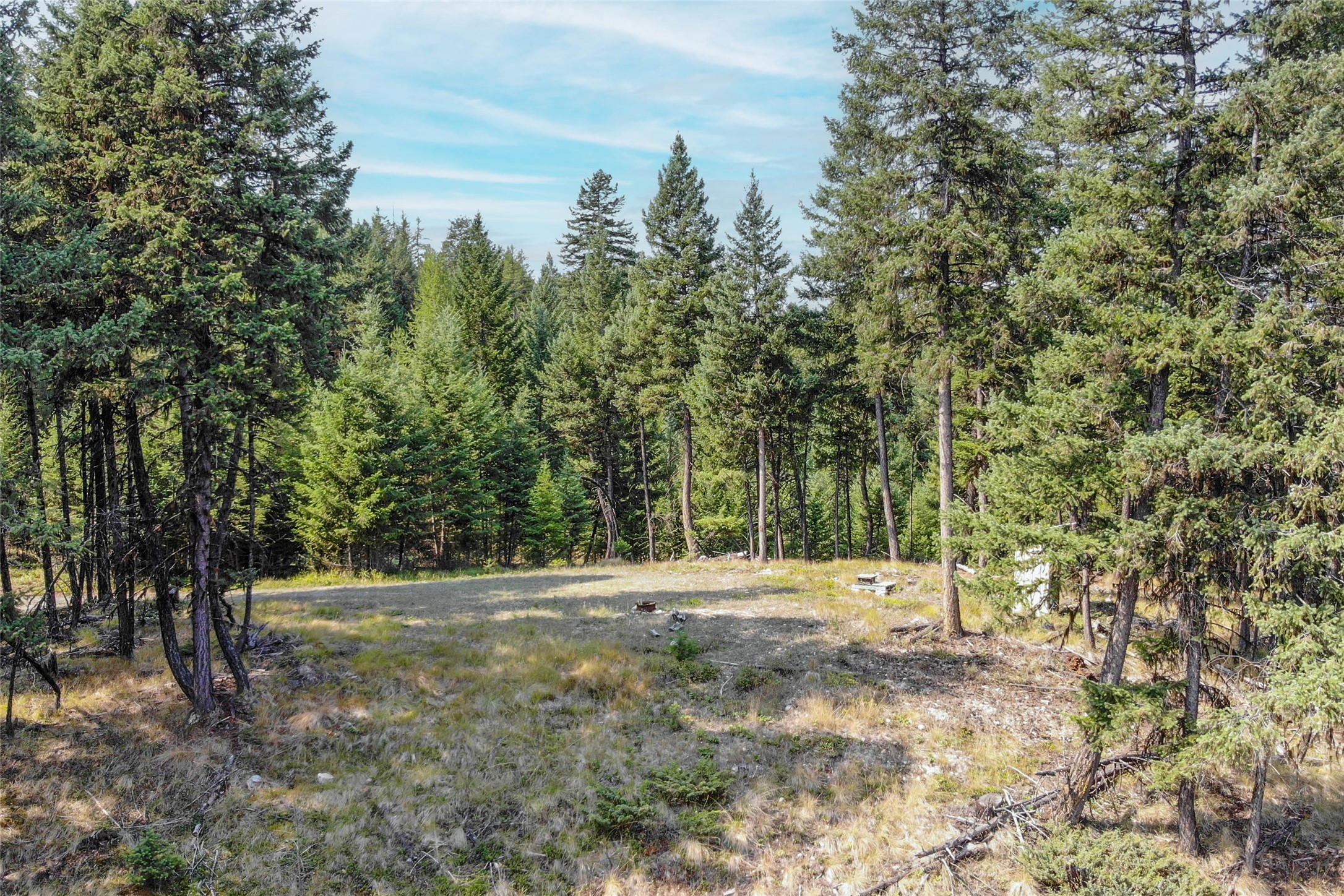 202 Grizzly Gulch Road