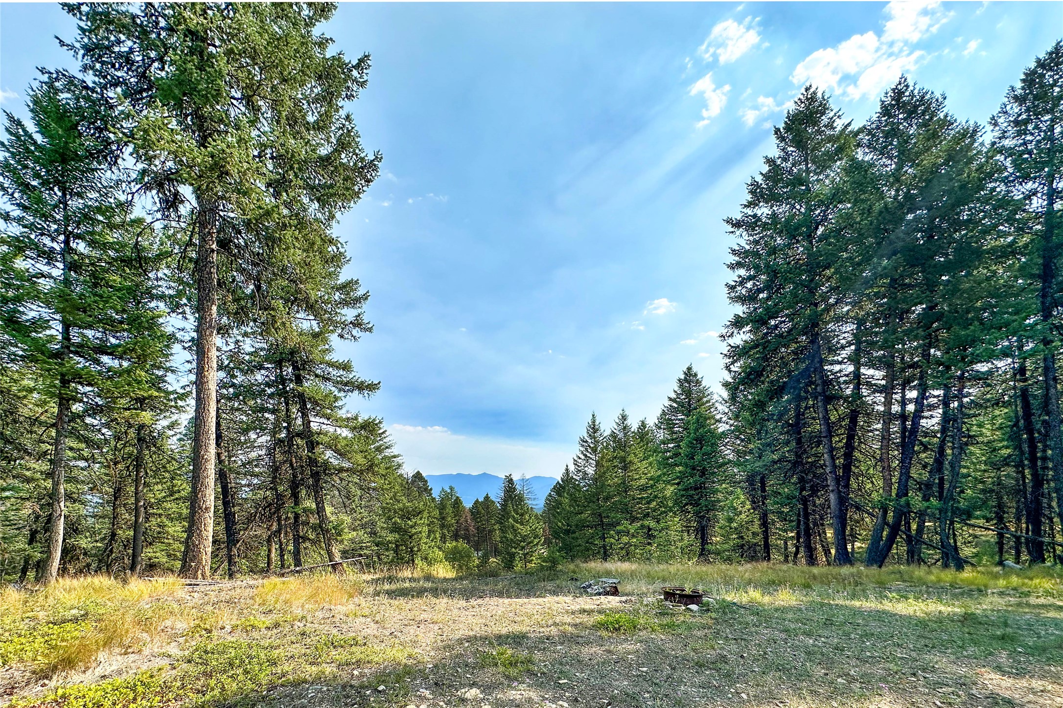 202 Grizzly Gulch Road