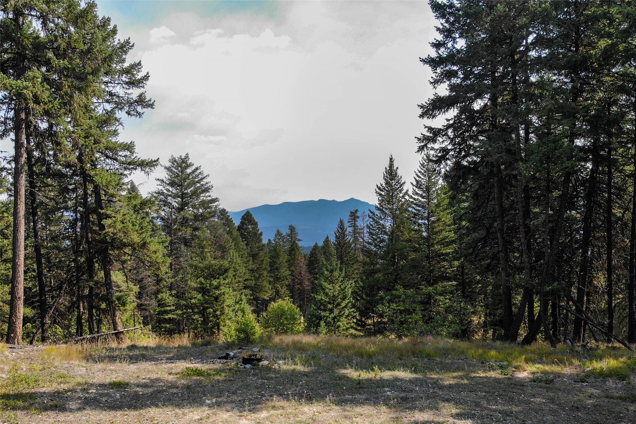 202 Grizzly Gulch Road